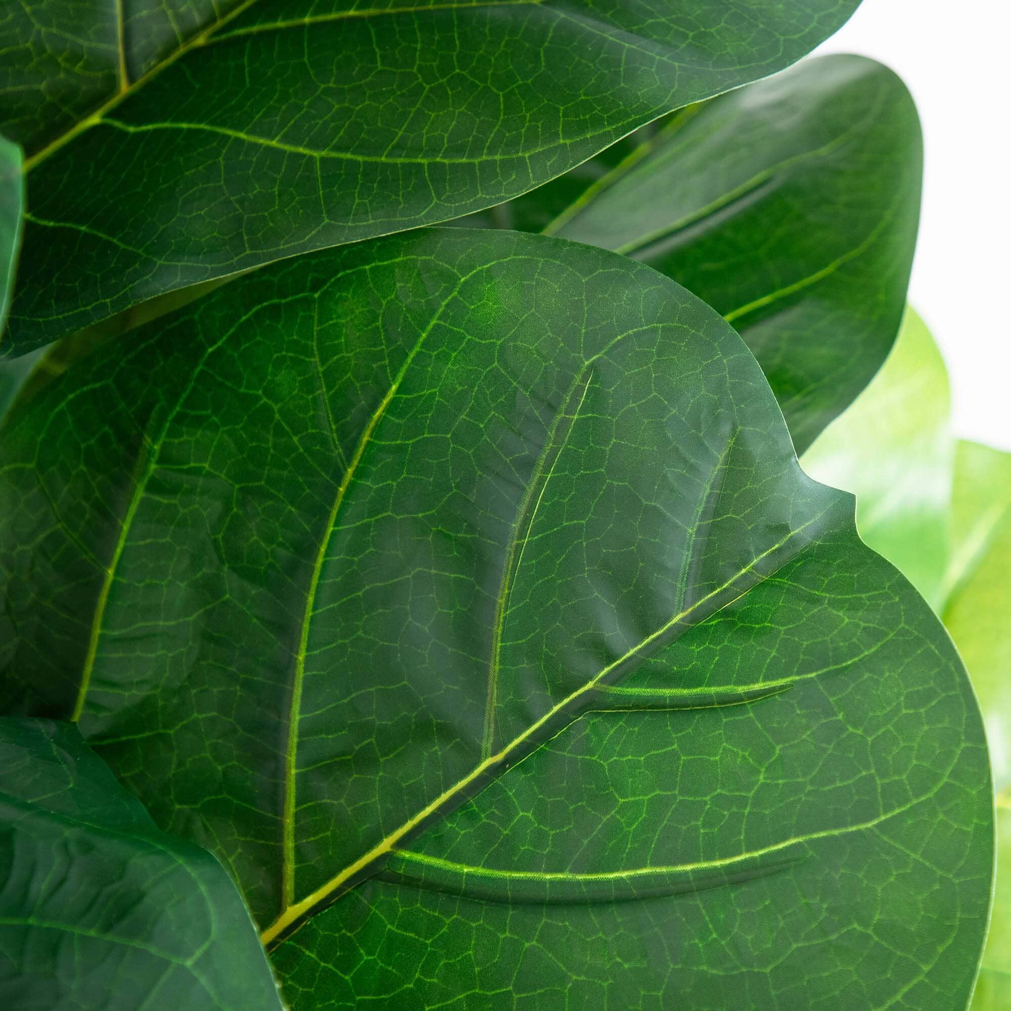 6’ Artificial Giant Leaf Fiddle Leaf Fig Tree in Decorative Planter with Real Touch Leaves - Image 2