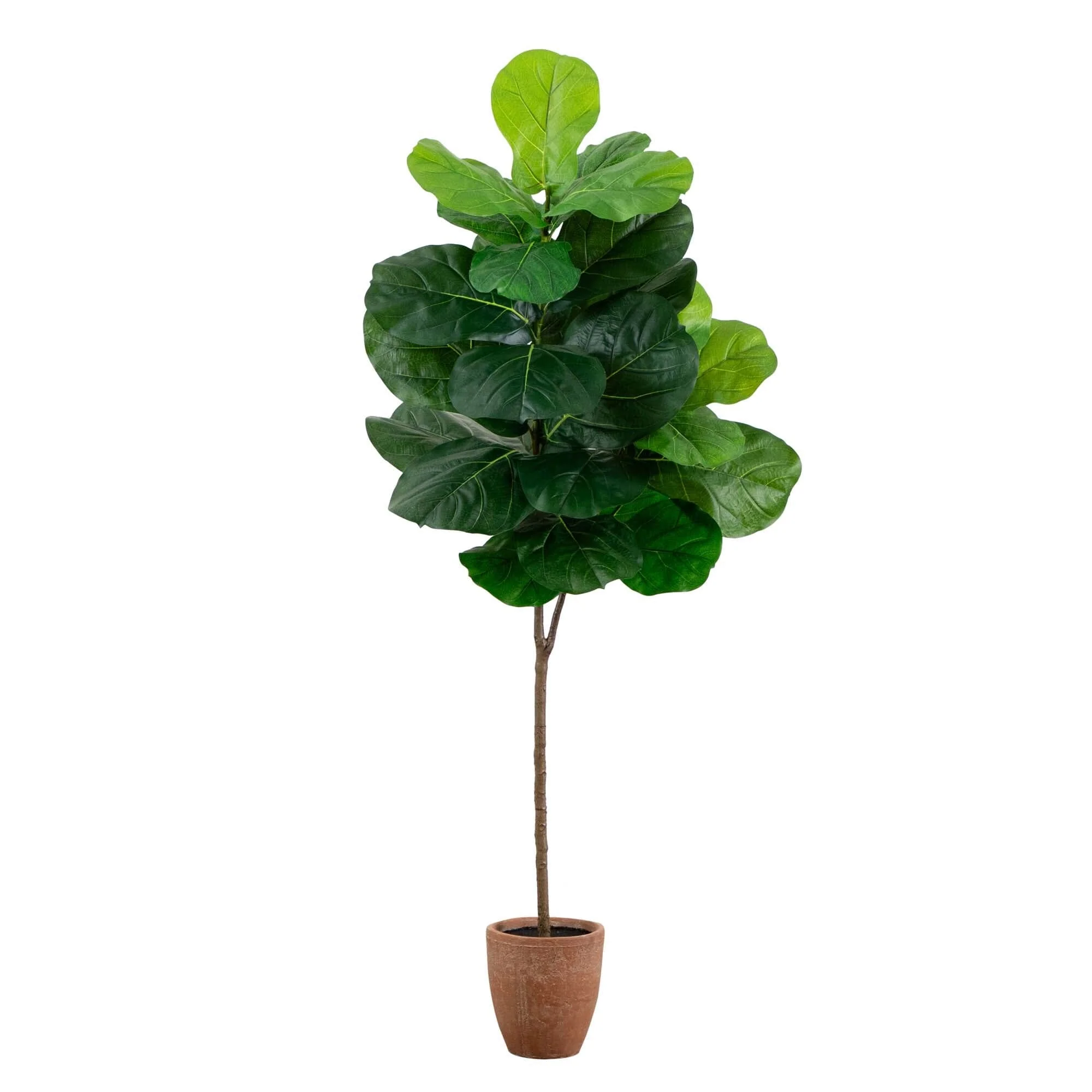 6’ Artificial Giant Leaf Fiddle Leaf Fig Tree in Decorative Planter with Real Touch Leaves - Image 7