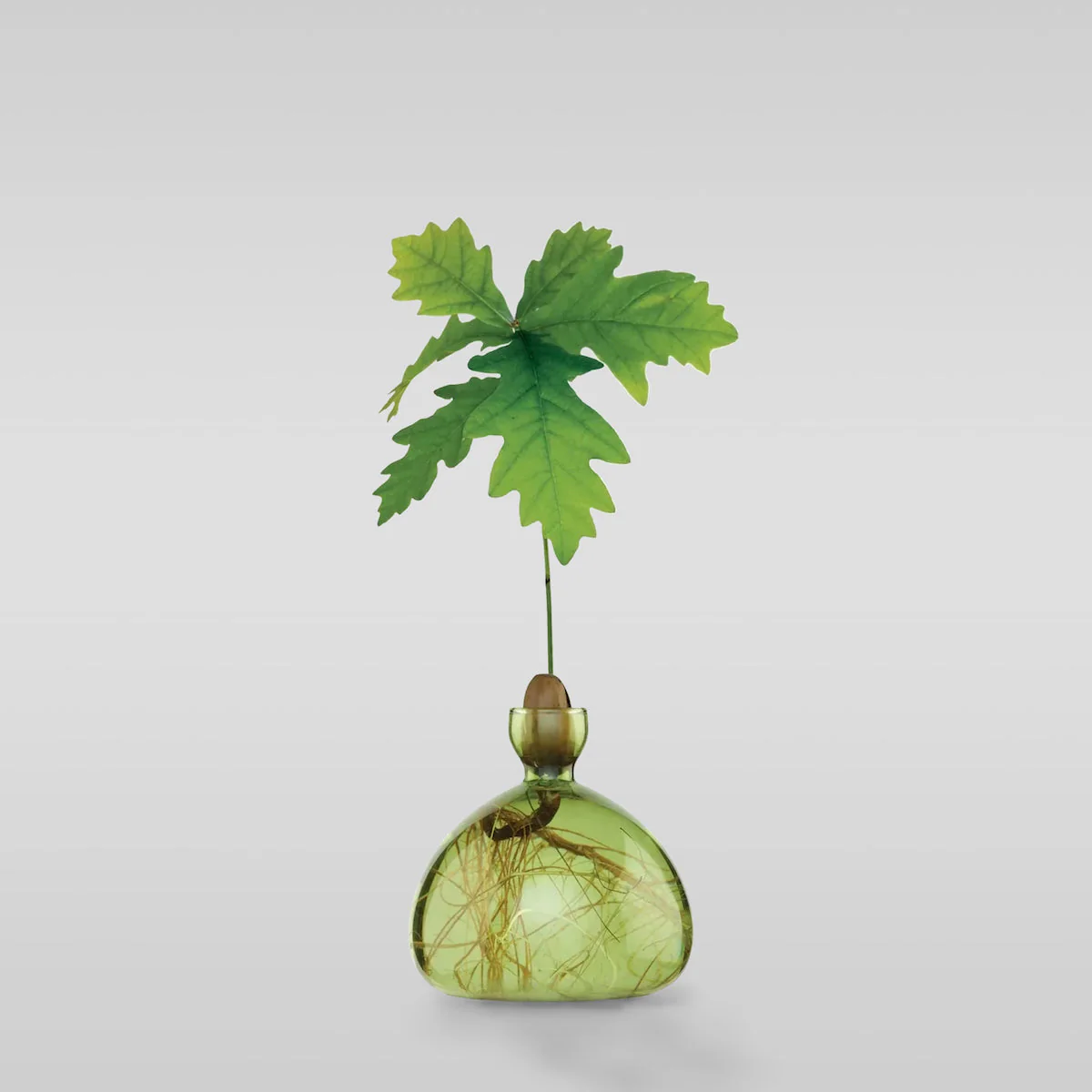 Acorn Vase - Image 5