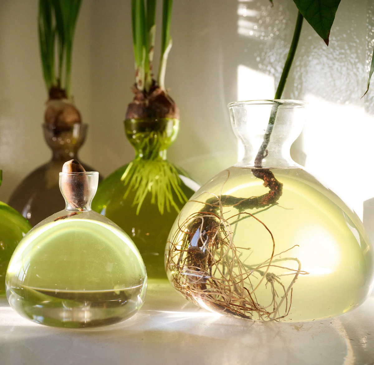 Acorn Vase - Image 7