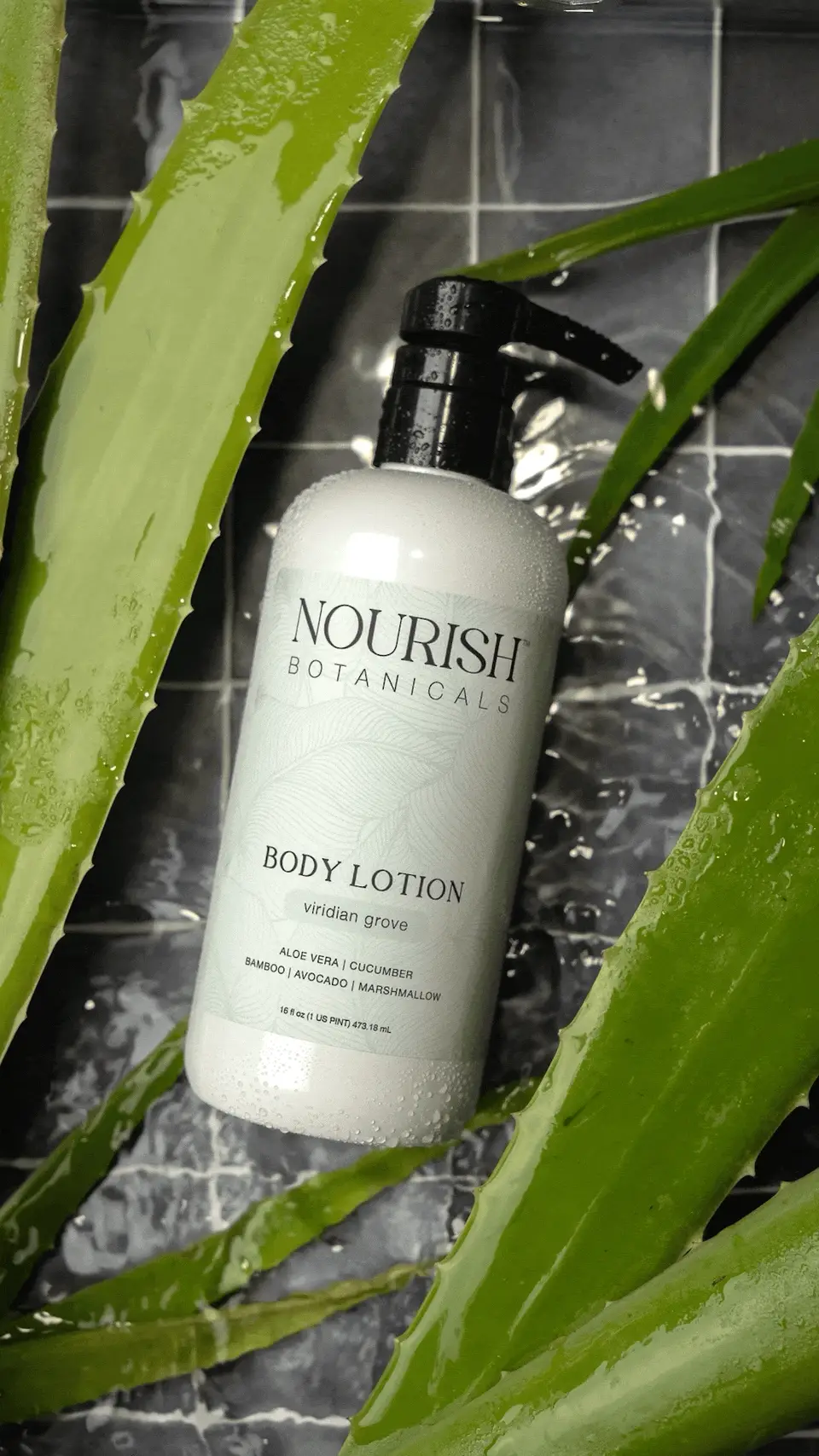Aloe Vera Body Lotion | Unscented - Image 6
