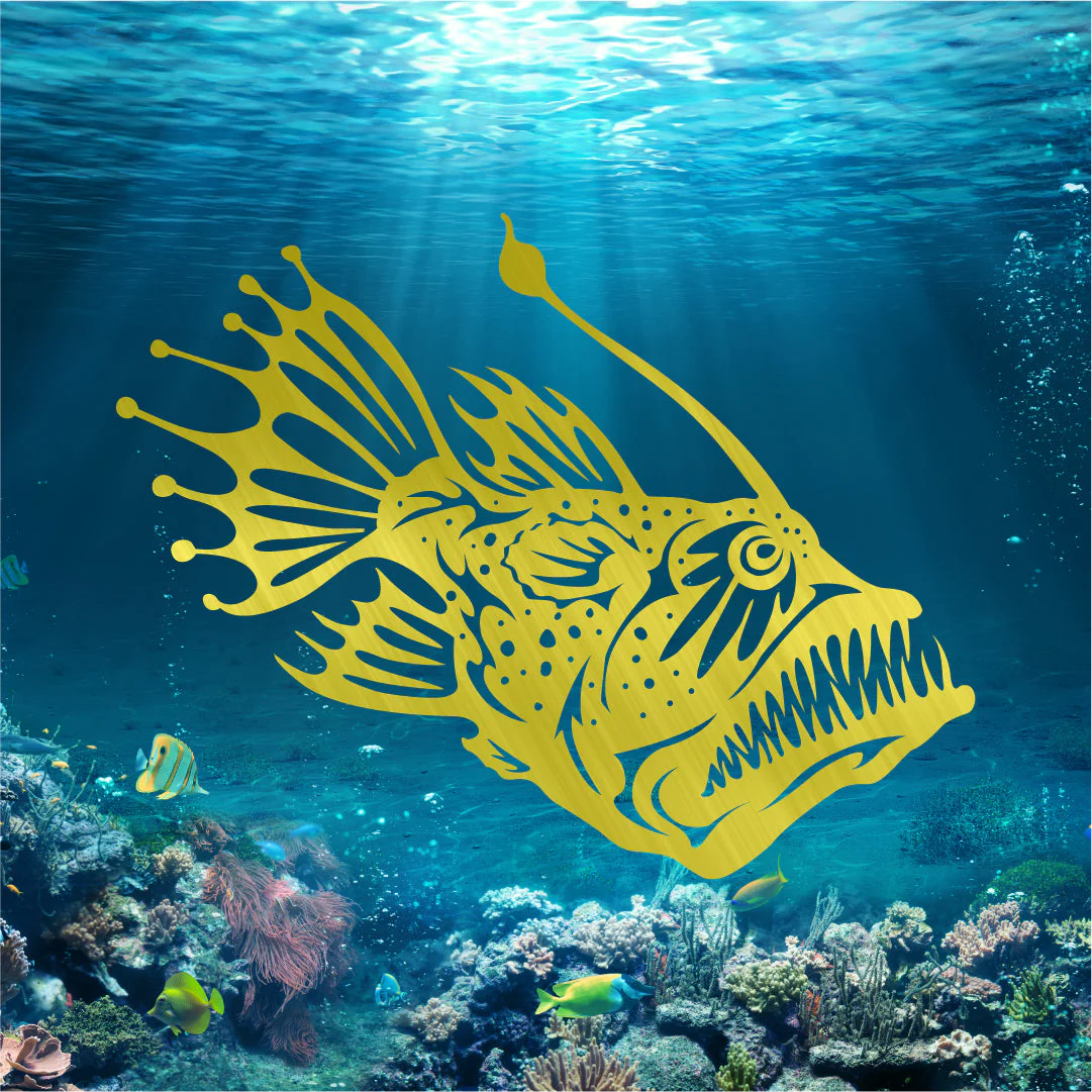Angler Fish - Image 2