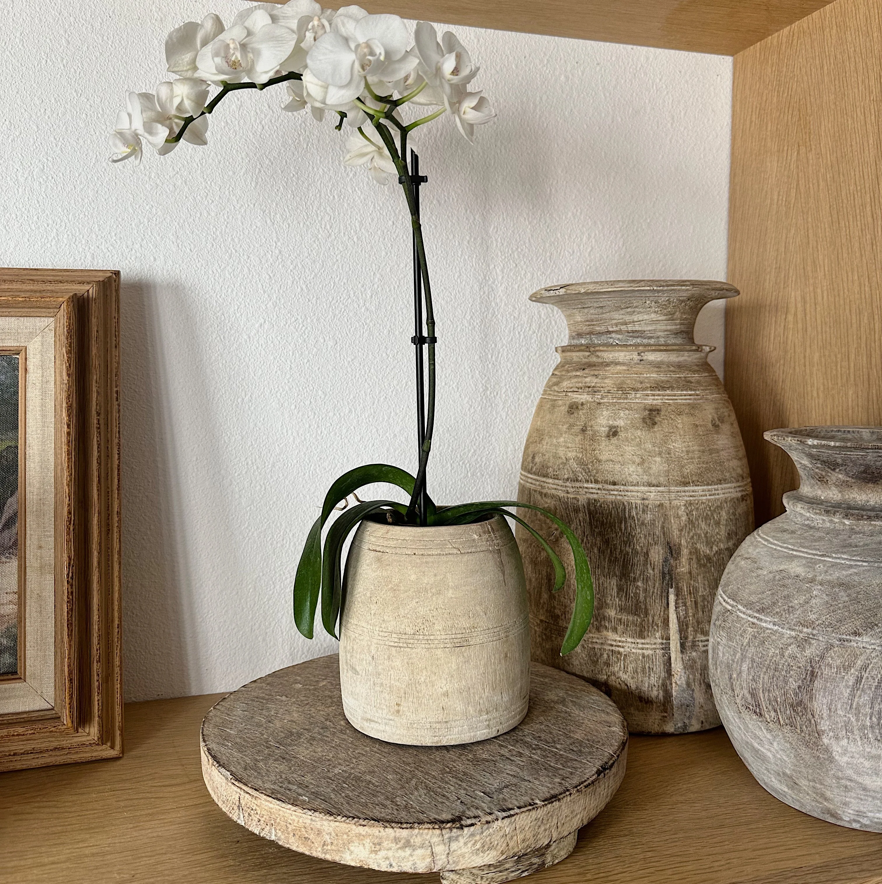 Antique Honey Pot - Bleached - Image 5