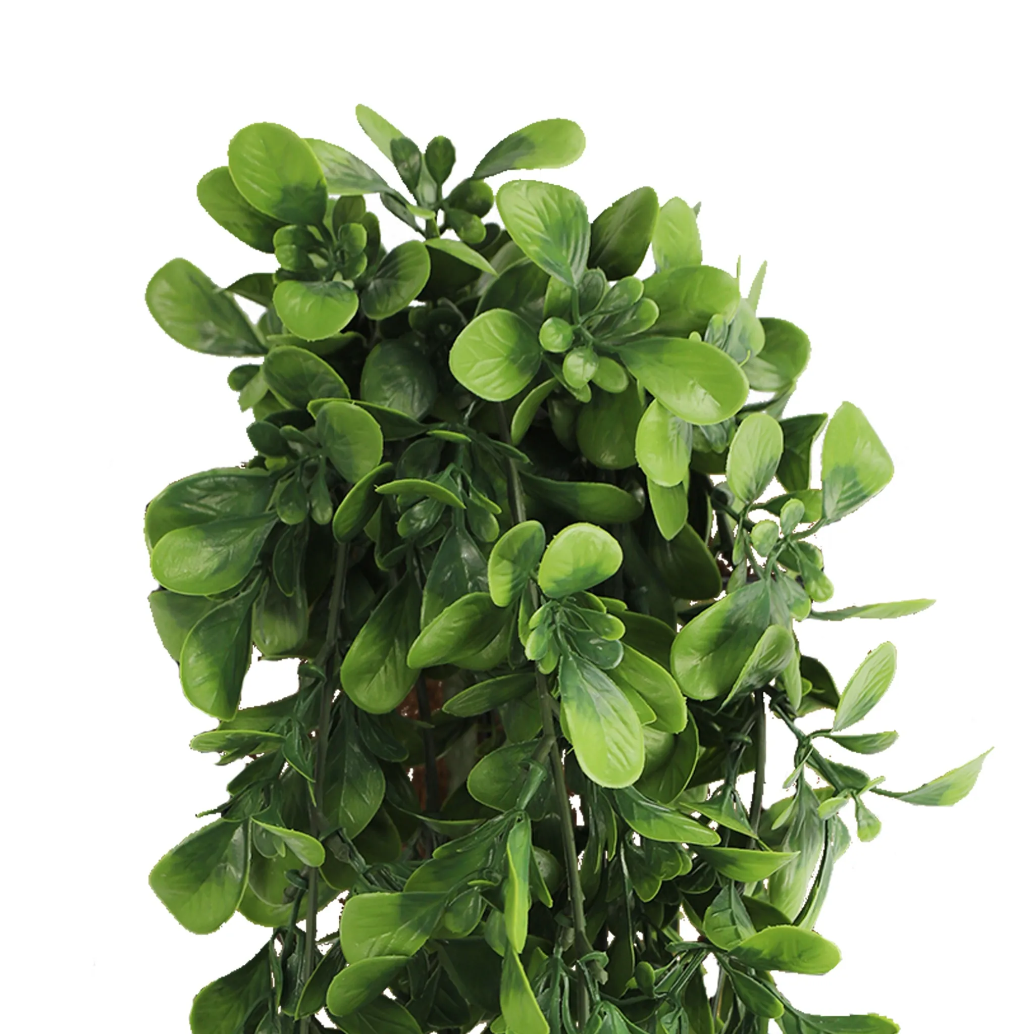 Artificial Creeping Fig Garland Bushes (UV Resistant & Fire Rated | 7.1in x 30in | 18cm x 76cm Each) - Image 3