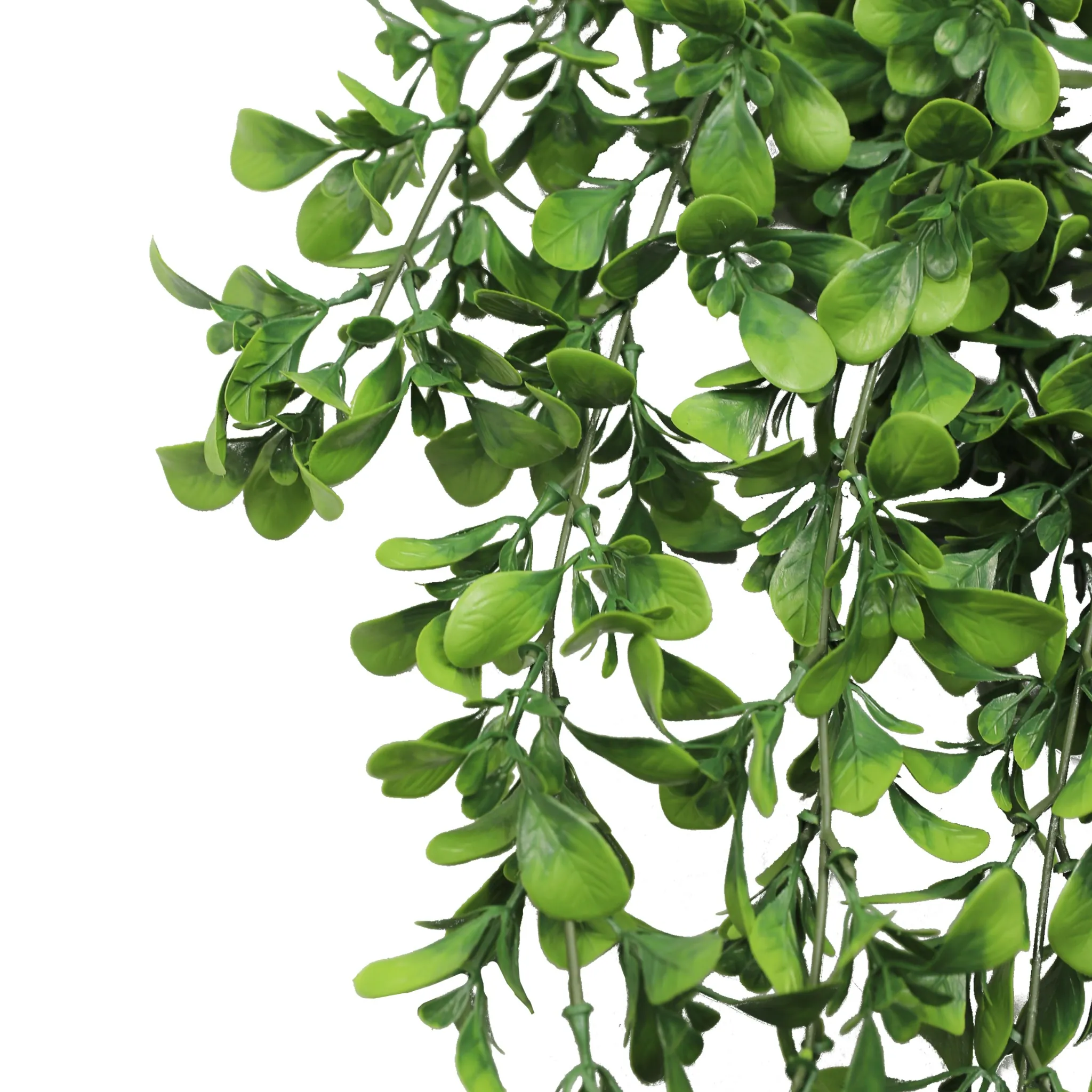 Artificial Creeping Fig Garland Bushes (UV Resistant & Fire Rated | 7.1in x 30in | 18cm x 76cm Each) - Image 6