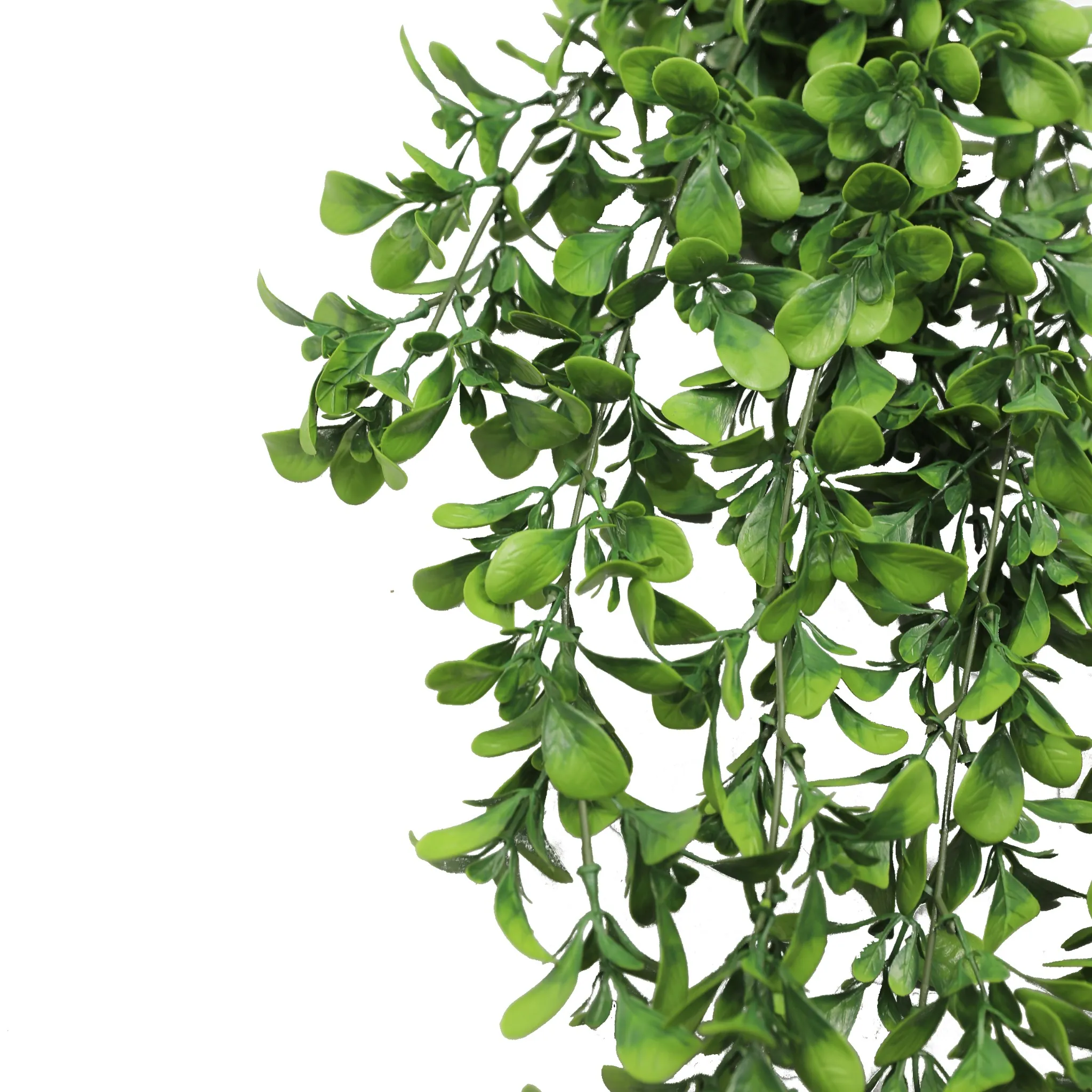 Artificial Creeping Fig Garland Bushes (UV Resistant & Fire Rated | 7.1in x 30in | 18cm x 76cm Each) - Image 7