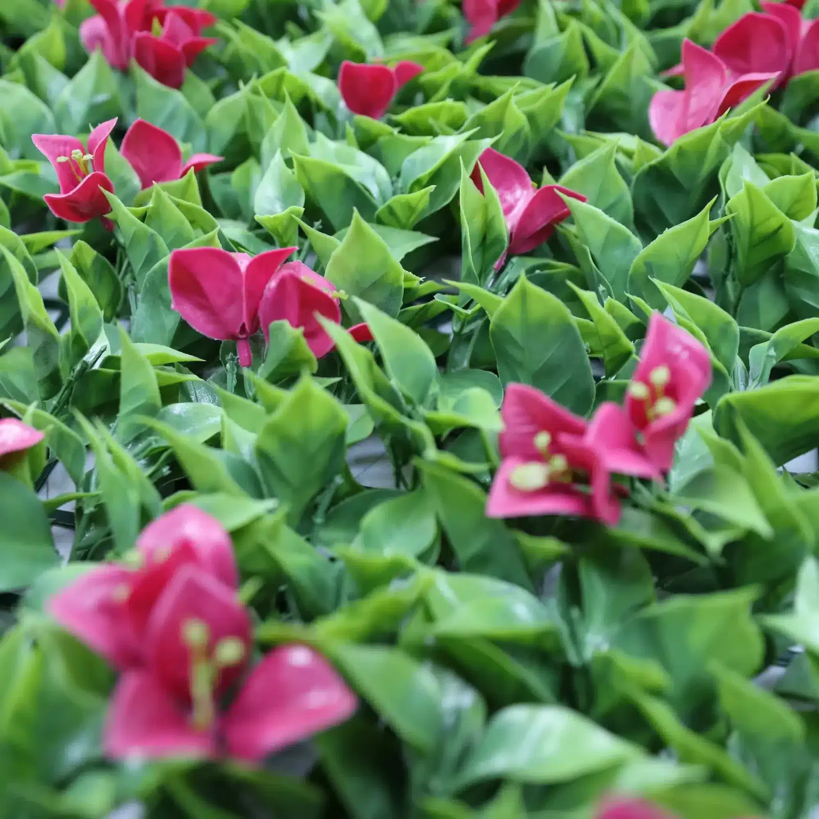 Artificial Flowering Pink Green Wall 40" x 40" 11SQ FT Commercial Grade UV Resistant - Image 4