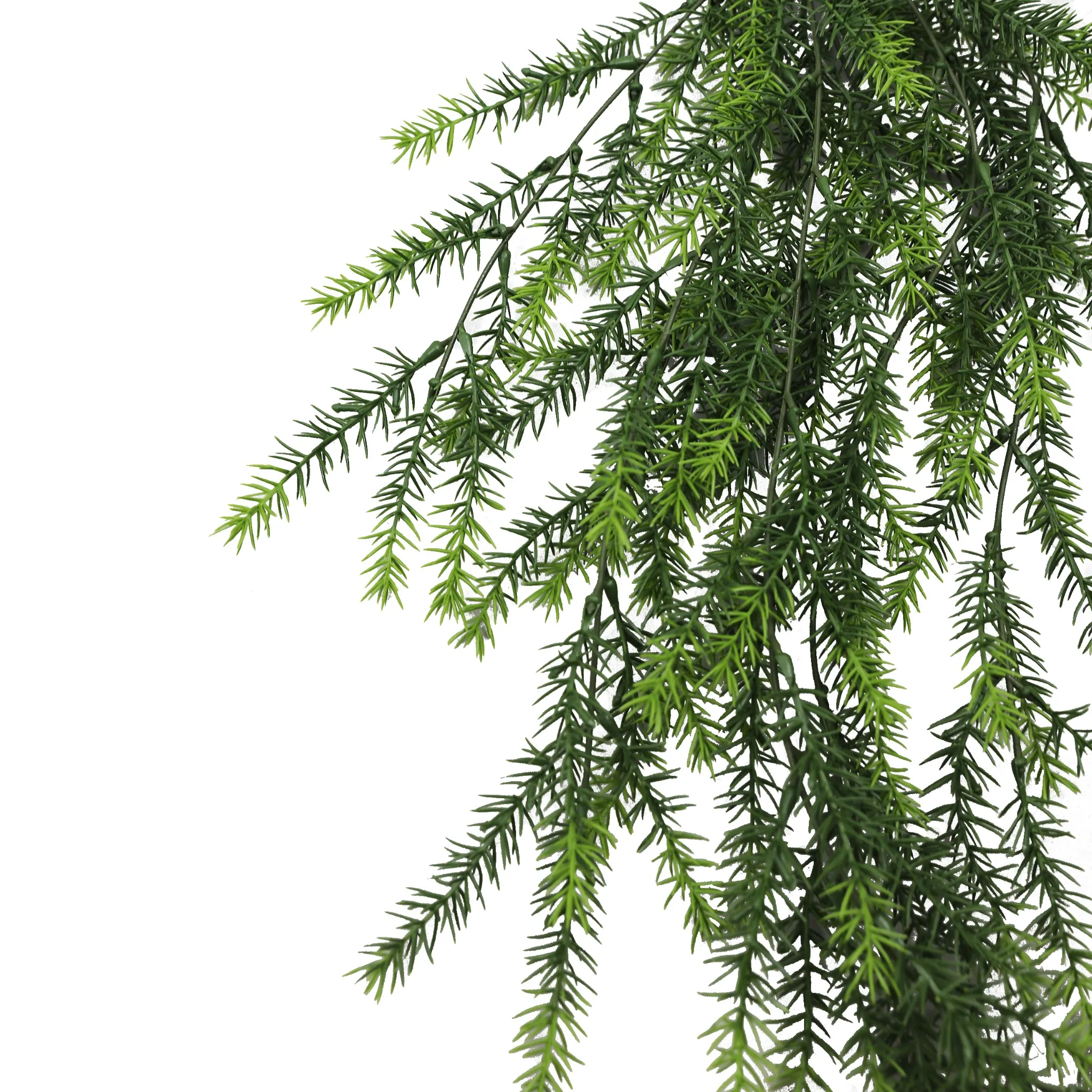 Artificial Hanging Cedar Vine Garland Bushes UV Resistant & Fire Rated | 7.8in x 30in (20cm x 76cm Each) - Image 7