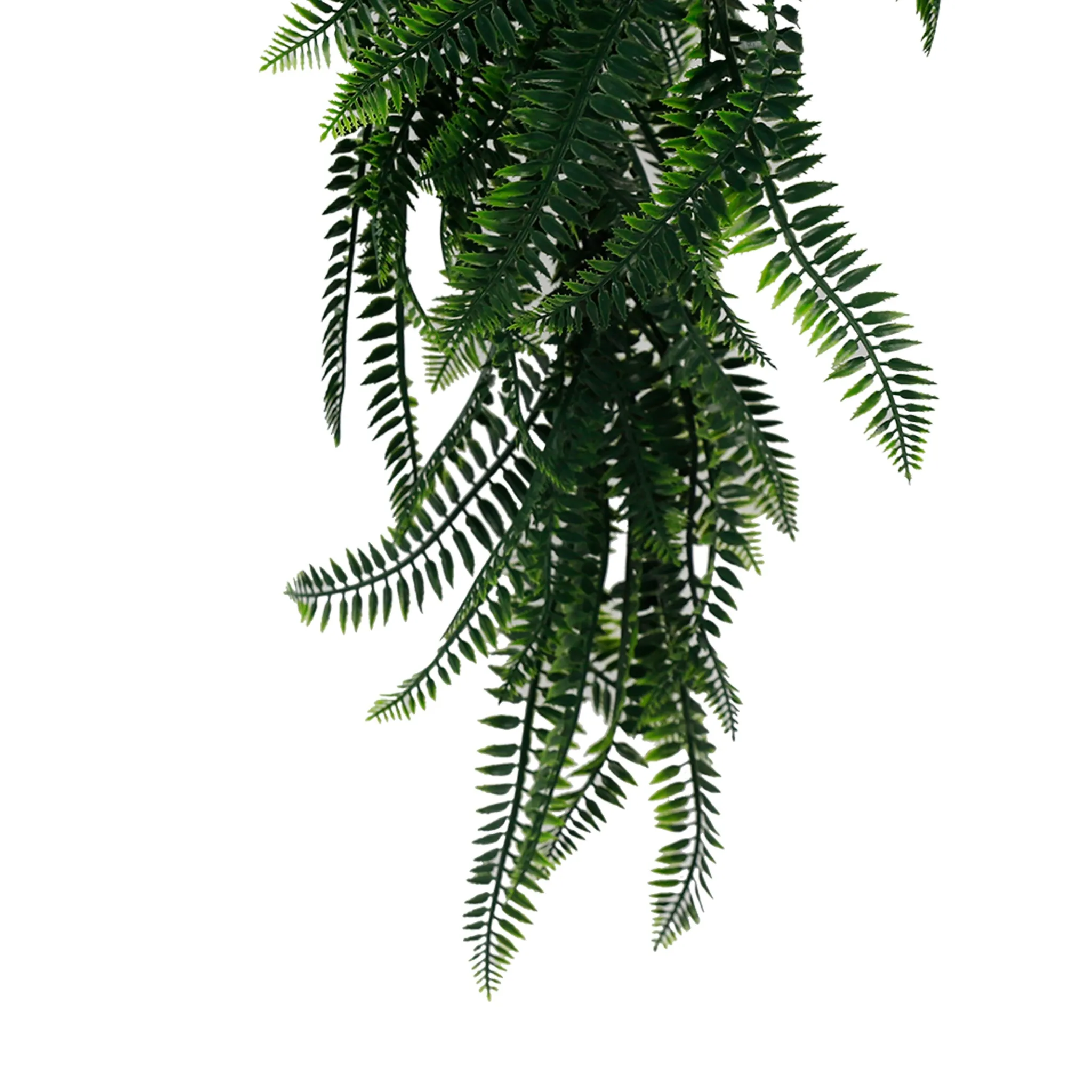 Artificial Hanging Dense Boston Fern Garland Bushes UV Resistant & Fire Rated | 10.6in x 33in (27cm x 84cm Each) - Image 5