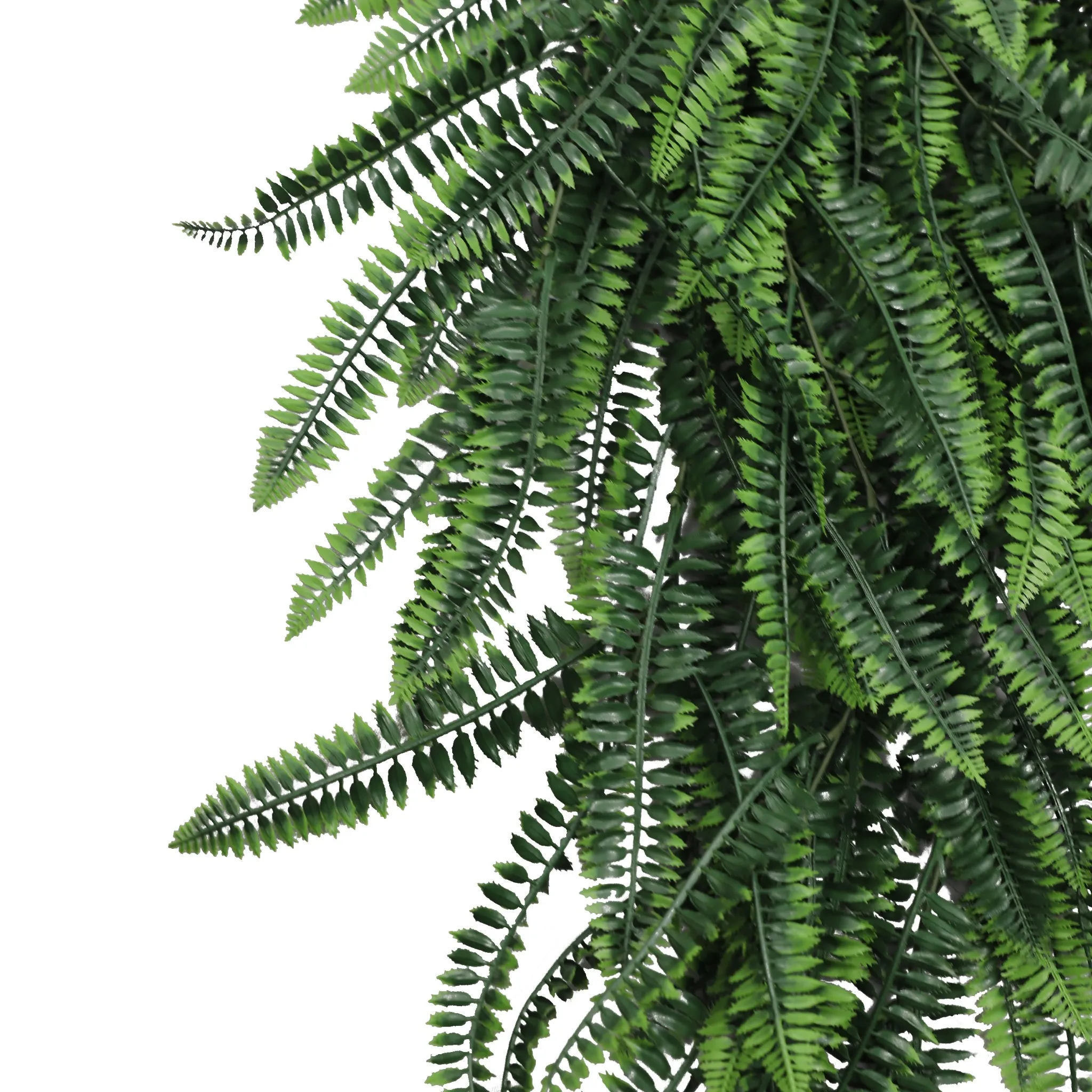 Artificial Hanging Dense Boston Fern Garland Bushes UV Resistant & Fire Rated | 10.6in x 33in (27cm x 84cm Each) - Image 6
