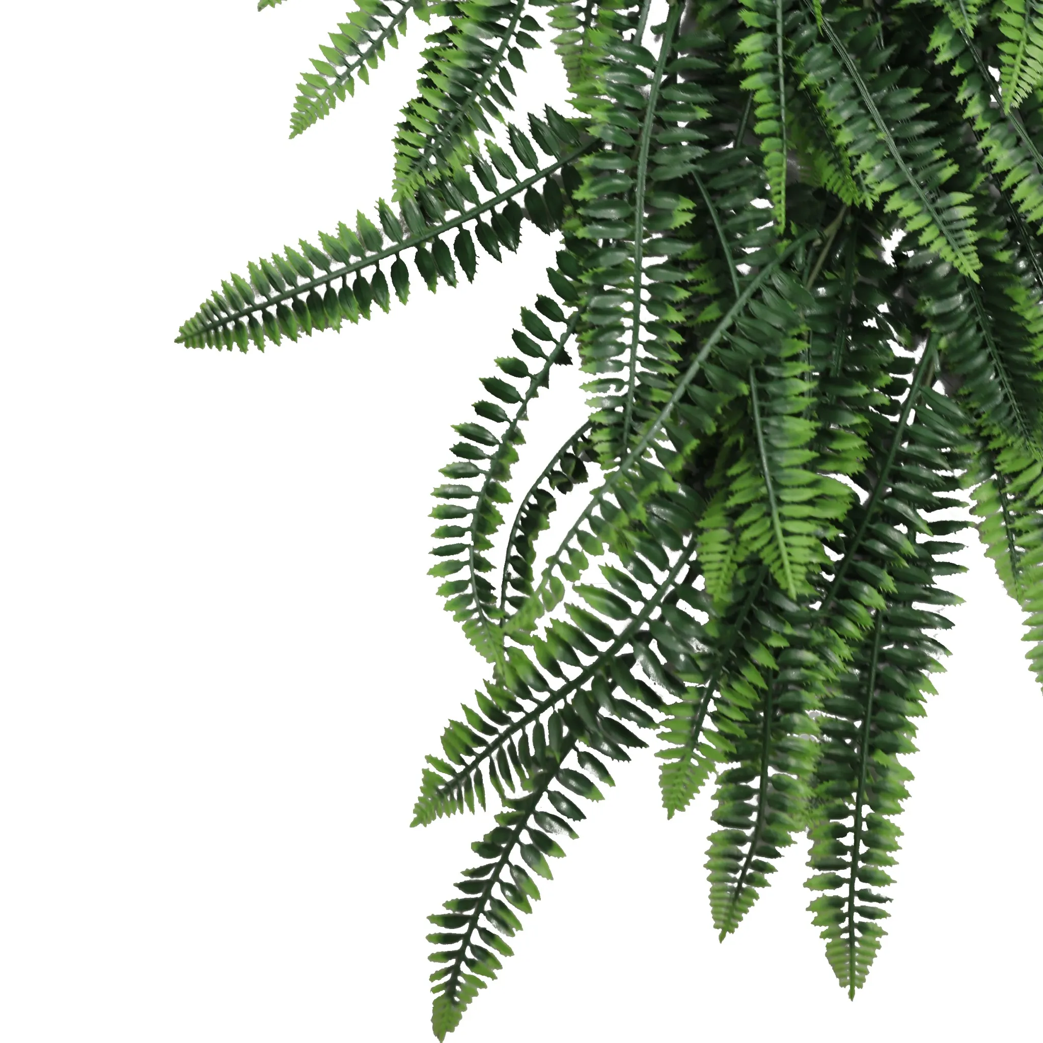 Artificial Hanging Dense Boston Fern Garland Bushes UV Resistant & Fire Rated | 10.6in x 33in (27cm x 84cm Each) - Image 7