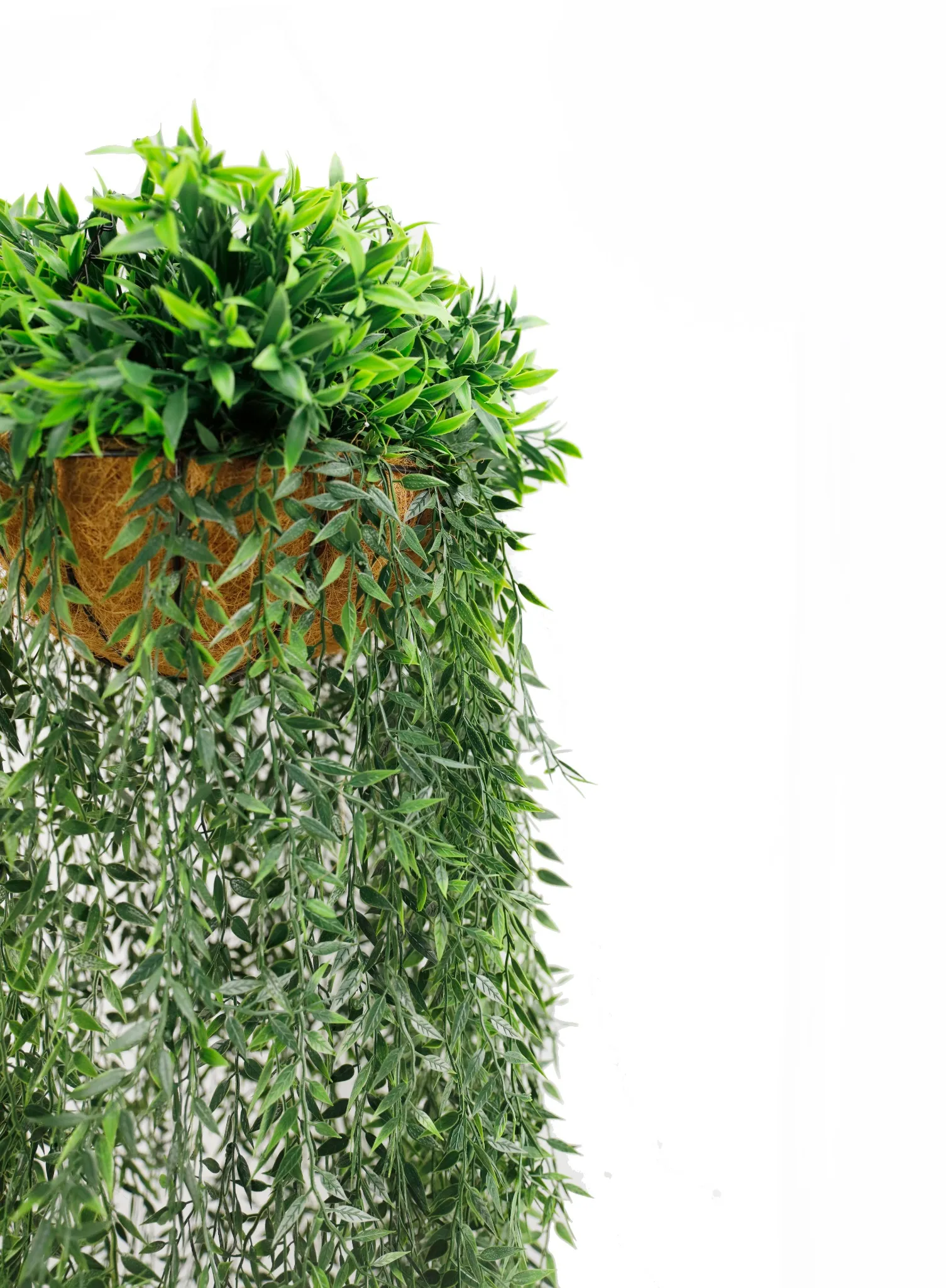 Artificial Hanging Fern Basket UV Resistant (13.8in x 55.1in /35cm x 140cm ) - Image 3