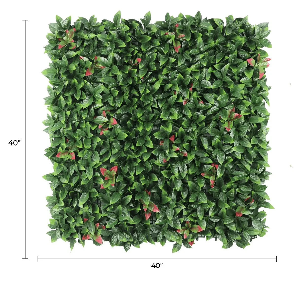 Artificial Photinia Hedge Panel Wall 40" x 40" 11SQ FT Commercial Grade UV Resistant - Image 2
