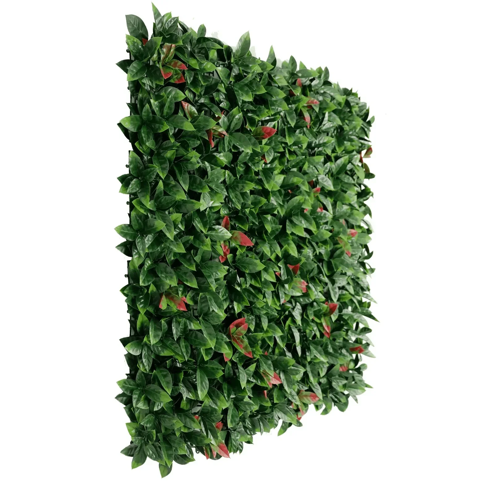 Artificial Photinia Hedge Panel Wall 40" x 40" 11SQ FT Commercial Grade UV Resistant - Image 3