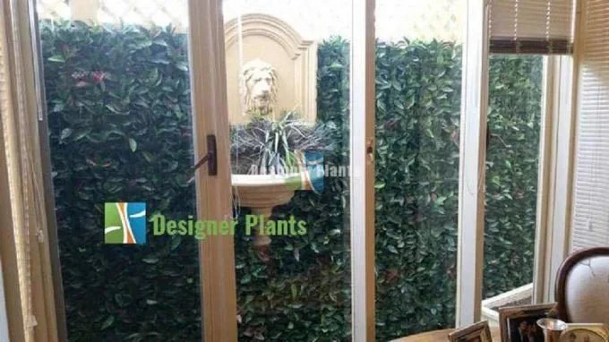 Artificial Photinia Hedge Panel Wall 40" x 40" 11SQ FT Commercial Grade UV Resistant - Image 8