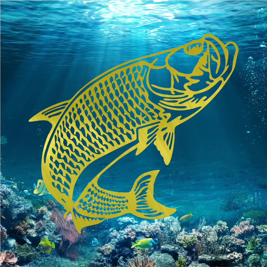 Atlantic Tarpon Fish - Image 2