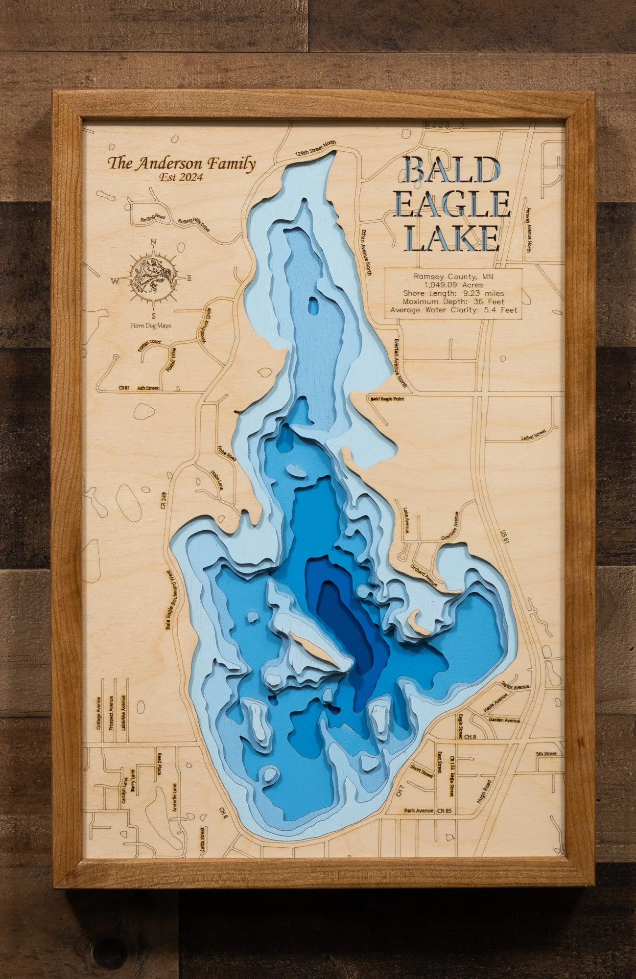 Bald Eagle (Ramsey)