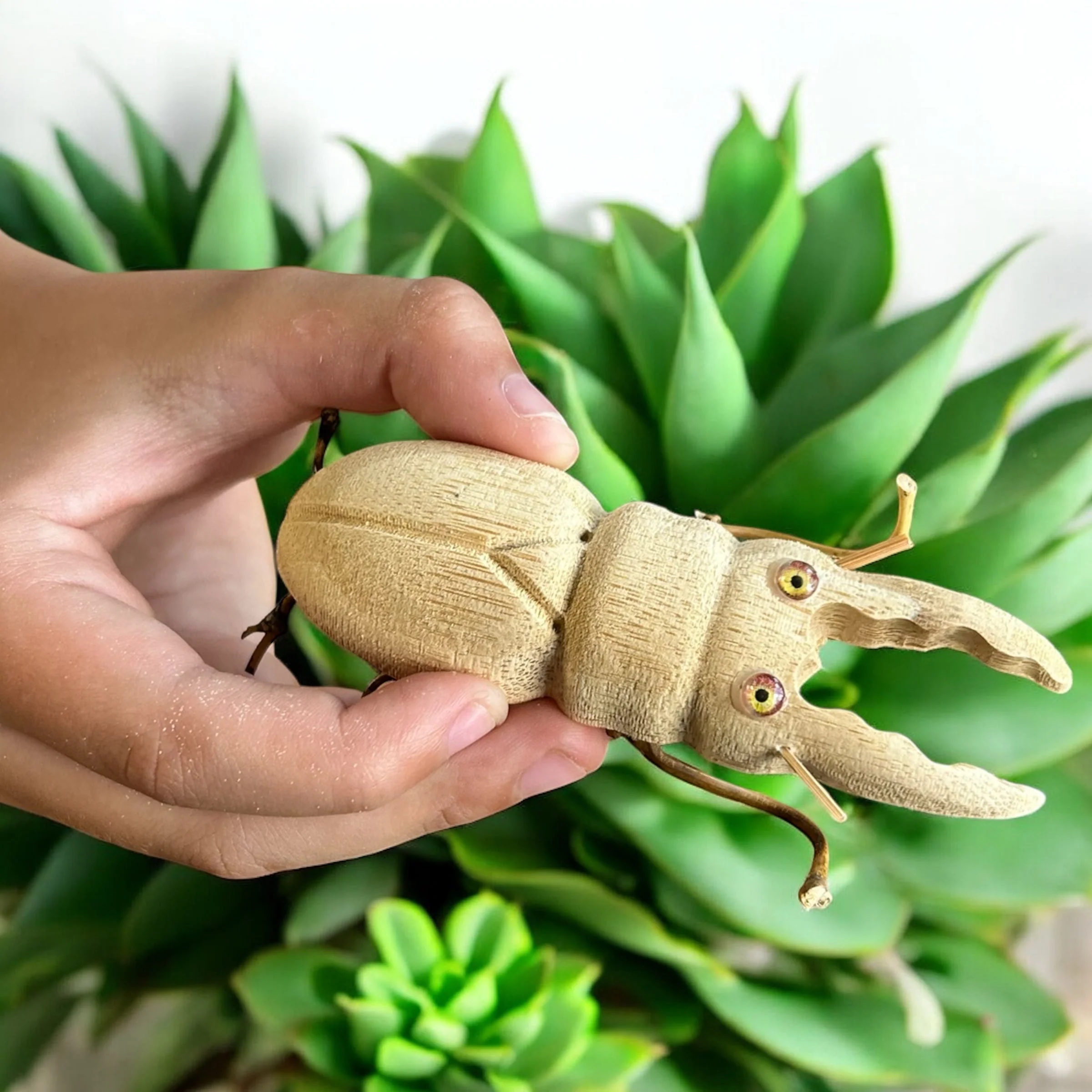 Bamboo Stag Beetle - Image 4