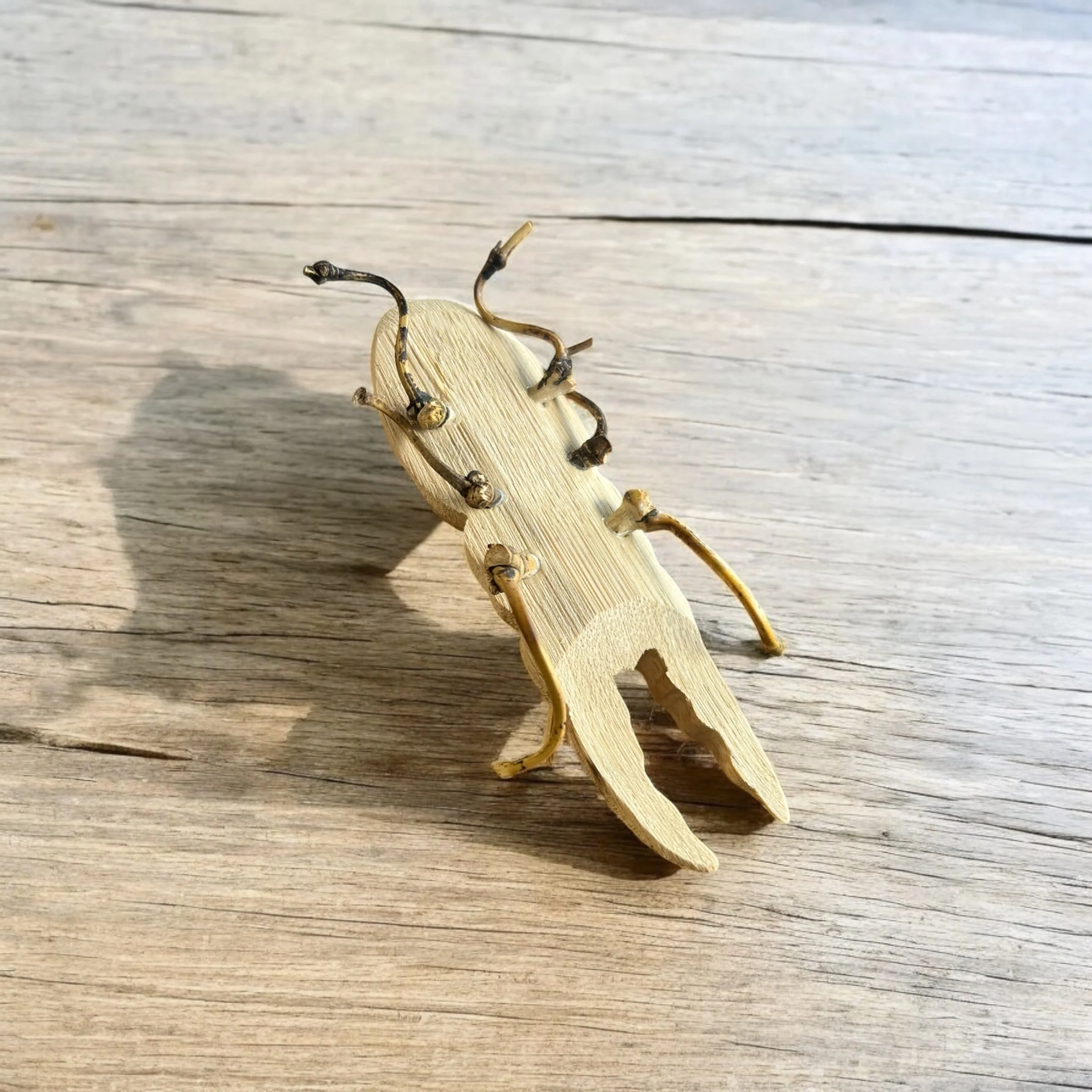 Bamboo Stag Beetle - Image 5