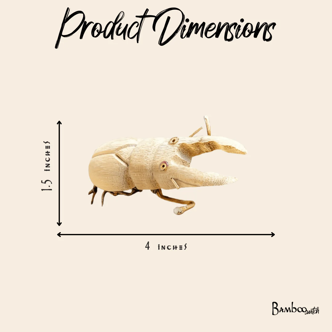 Bamboo Stag Beetle - Image 7