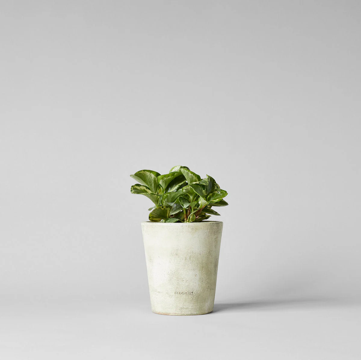 Basic Planter, White Patina - Image 14