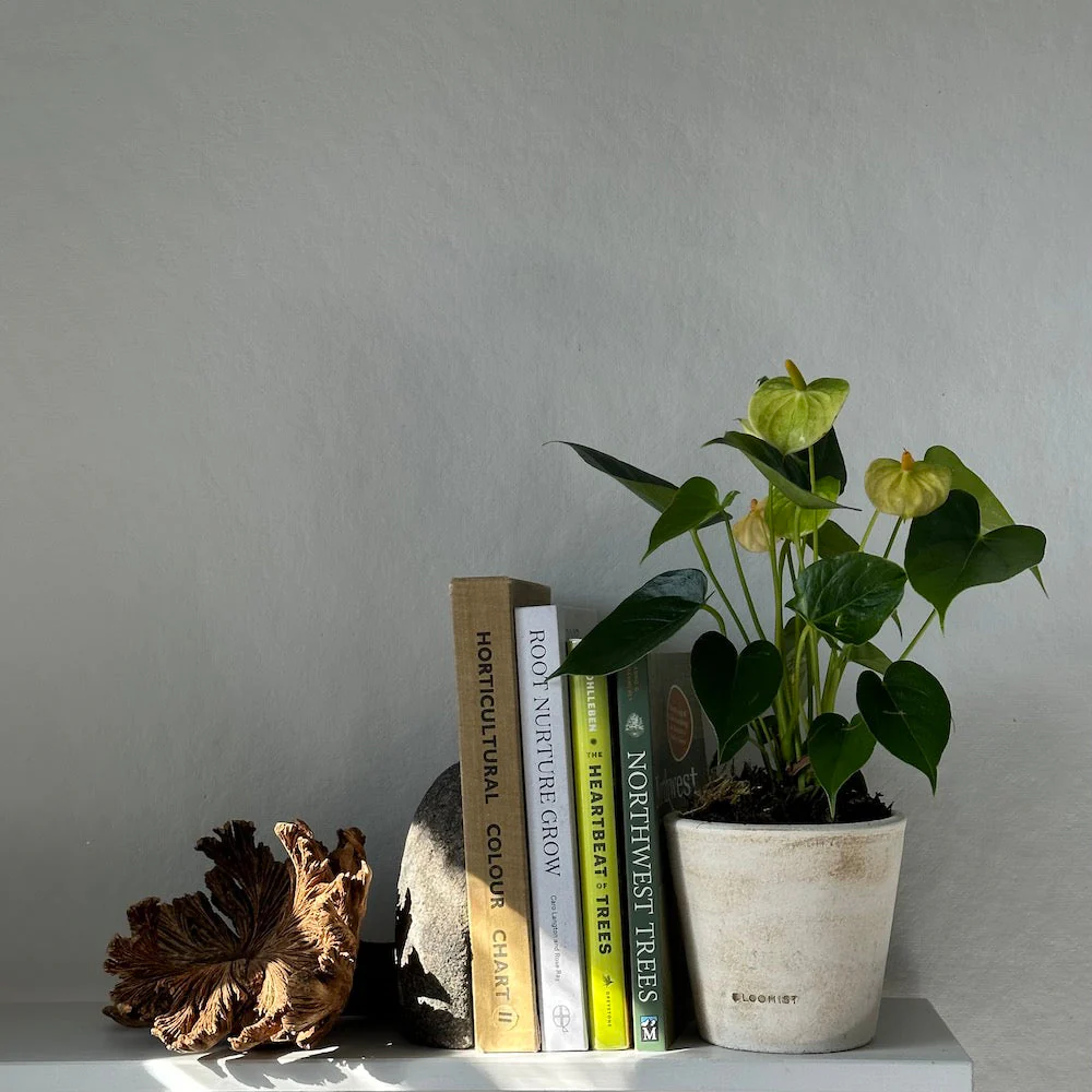Basic Planter, White Patina - Image 3