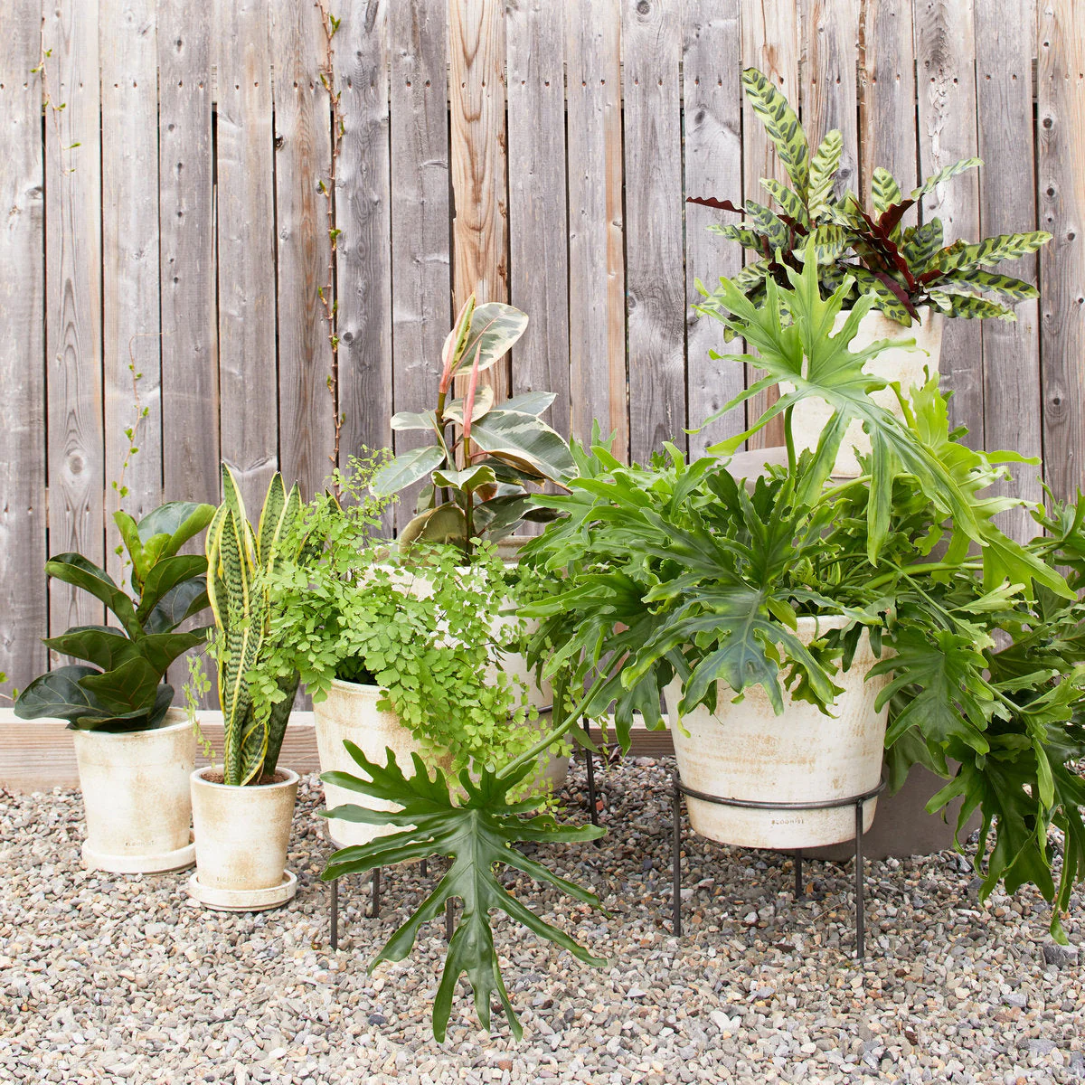 Basic Planter, White Patina - Image 4