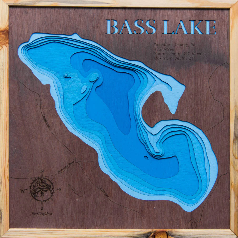 Bass (Washburn)
