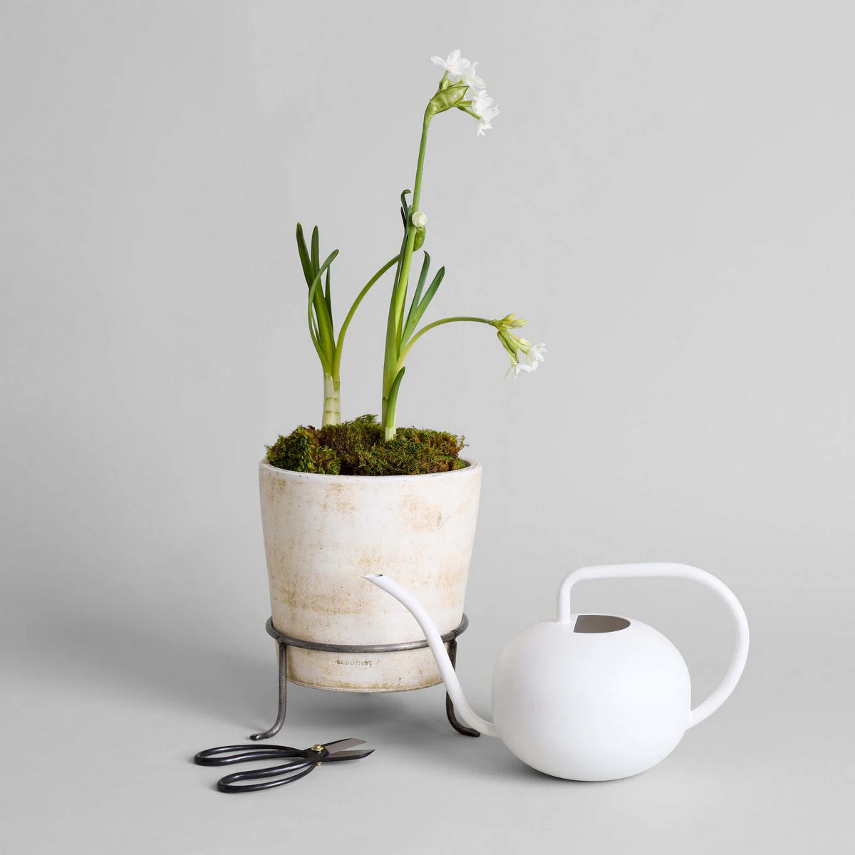 Beatrix Watering Can - Image 2