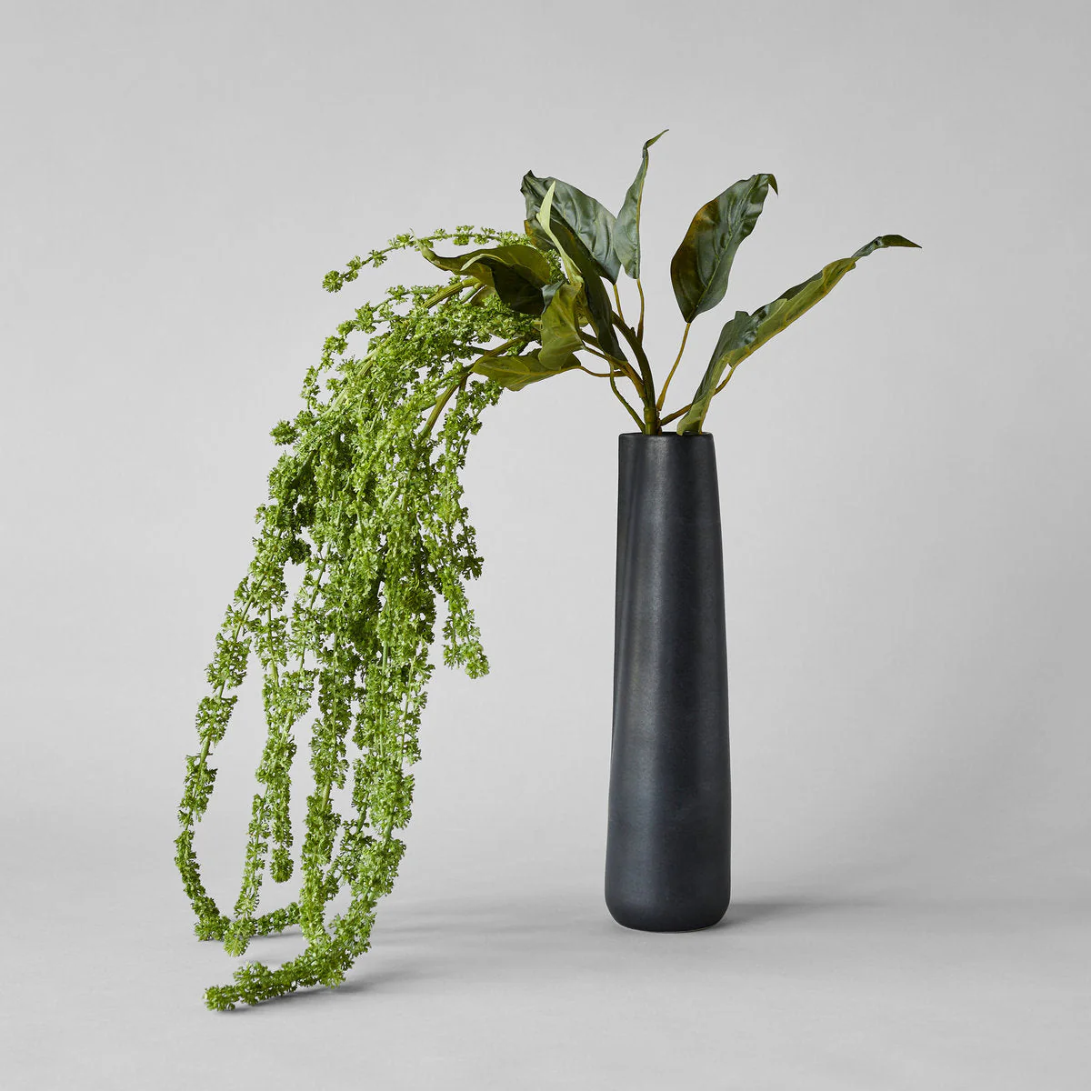 Black Novah Pitcher - Image 2