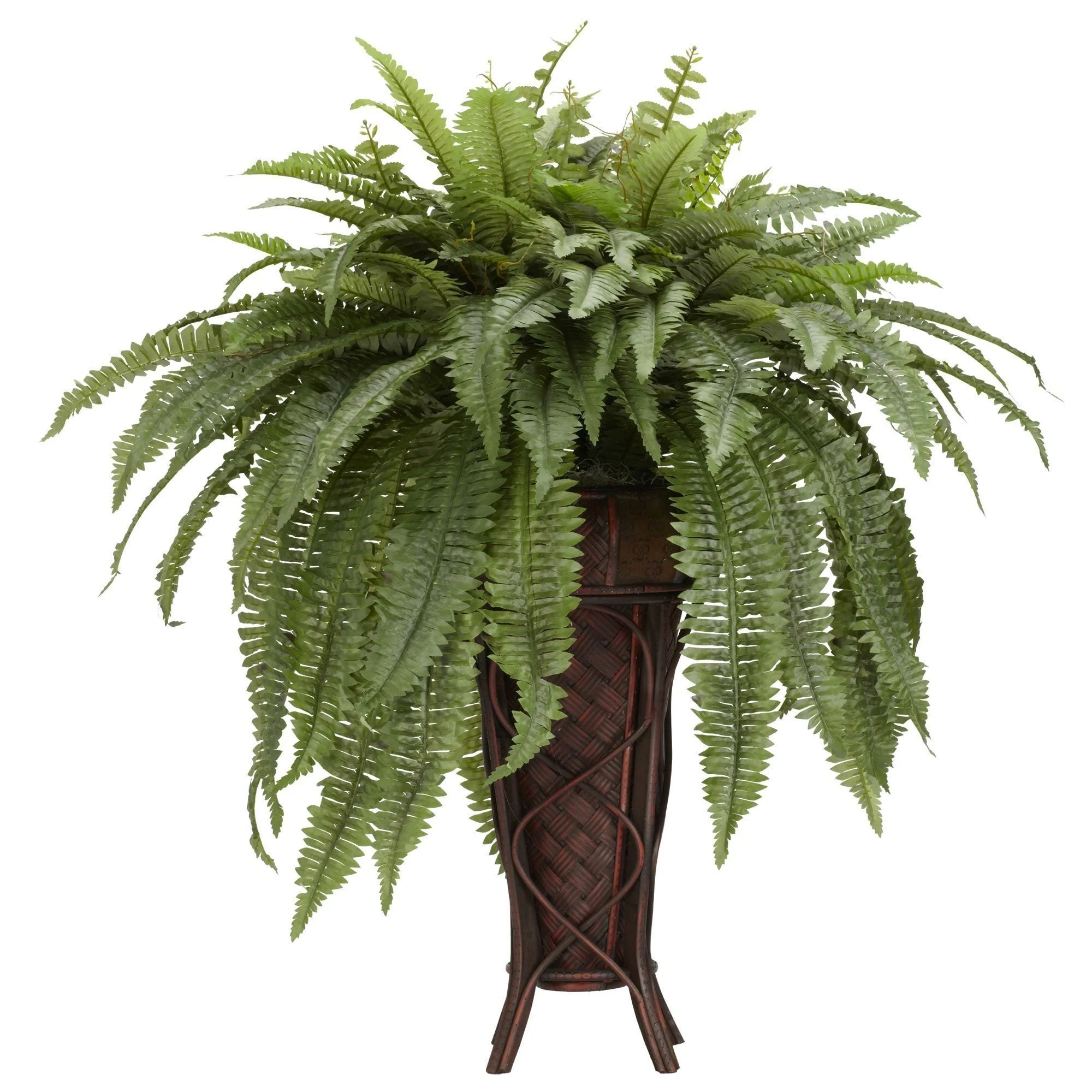 Boston Fern w/Stand Silk Plant - Image 2