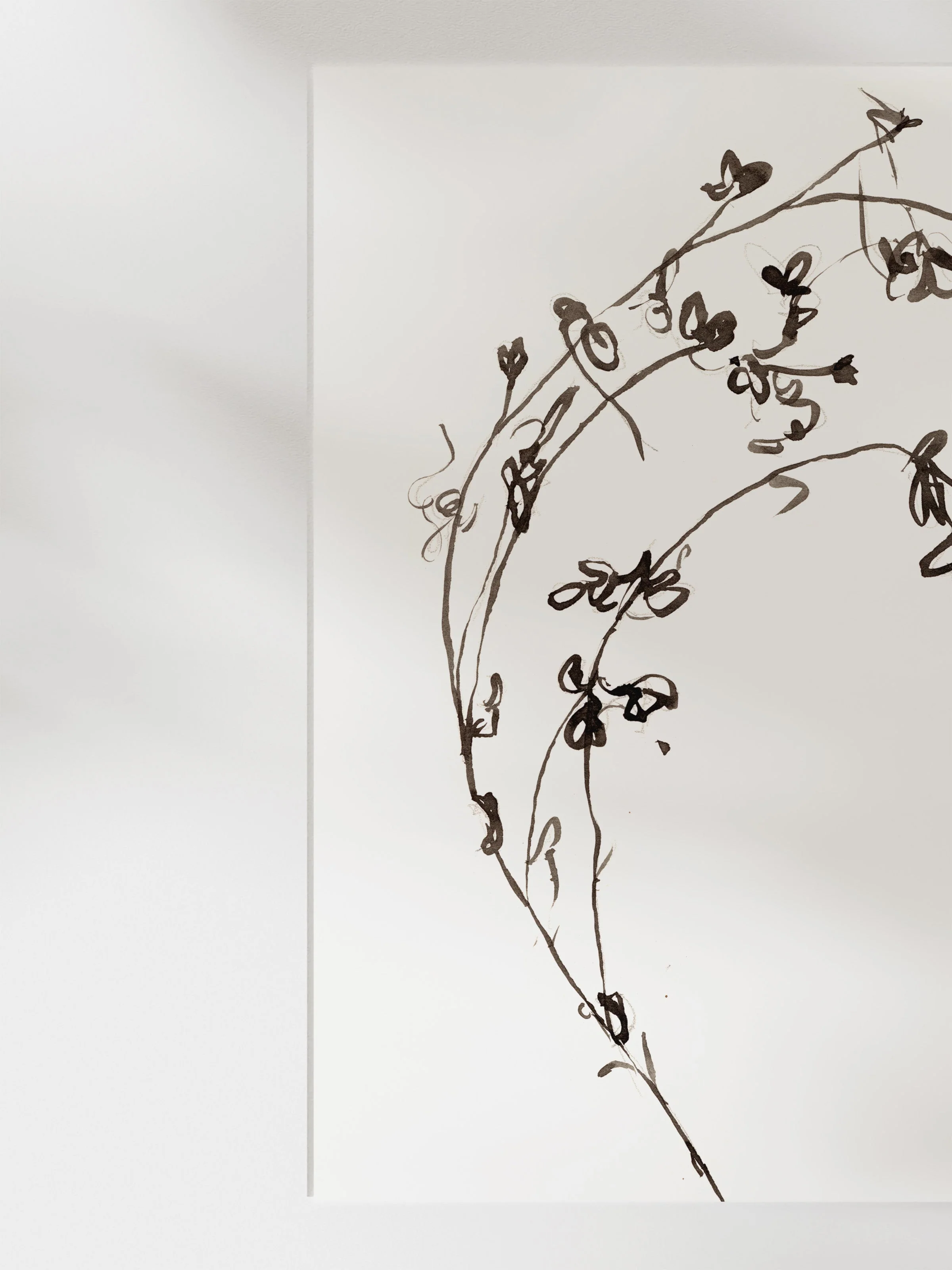 Botanical Ink Study I - Image 3