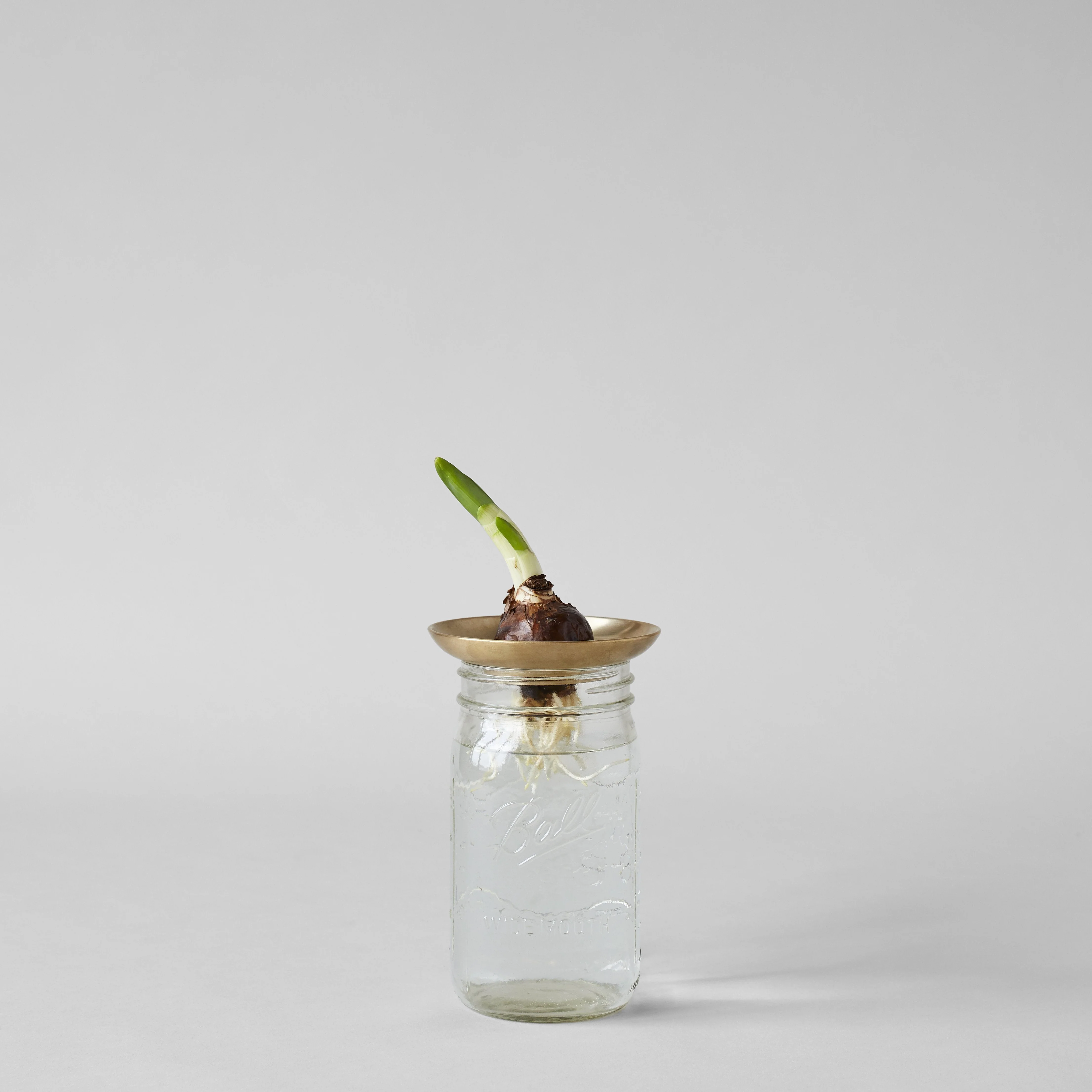 Brass Frogs - Image 3