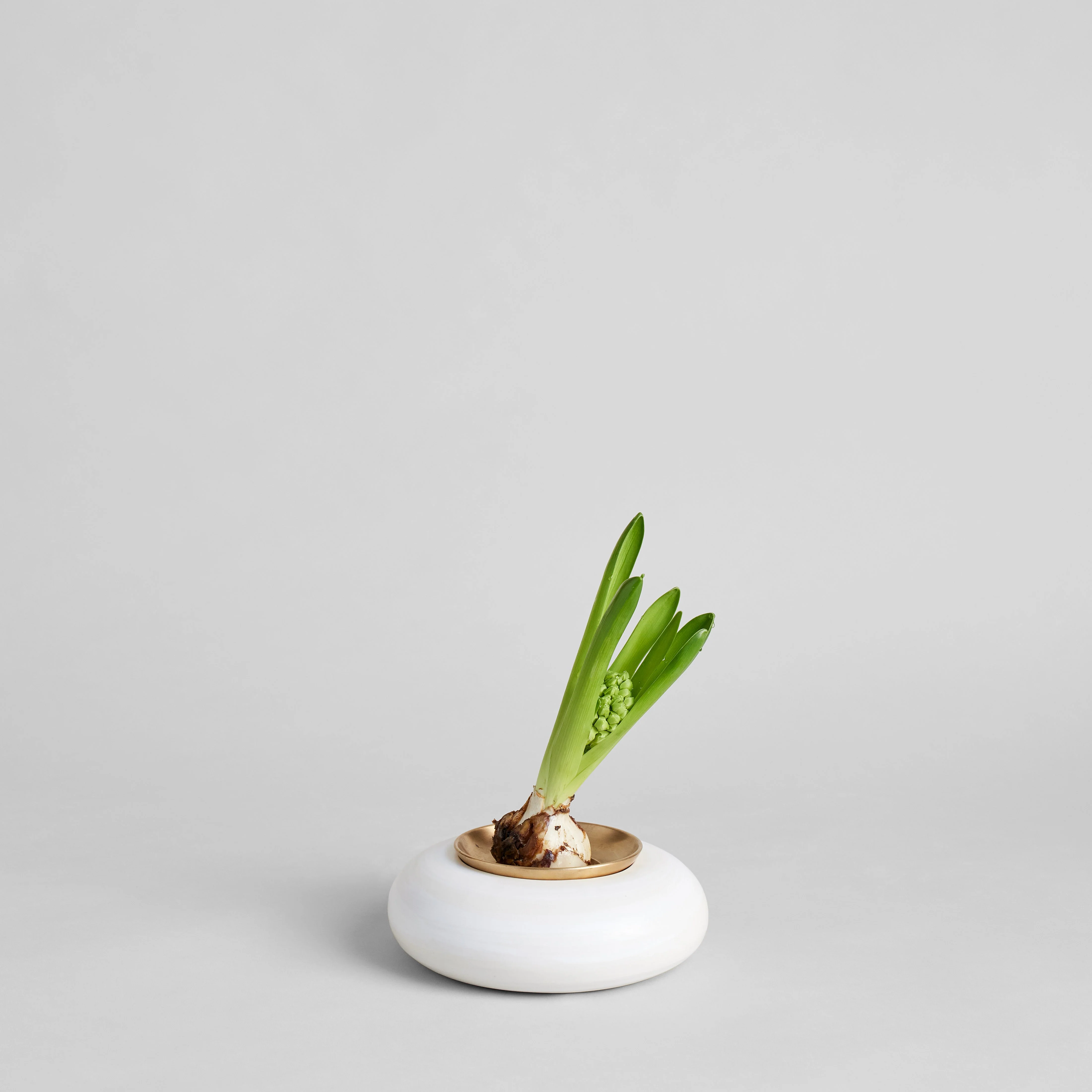 Brass Frogs - Image 6