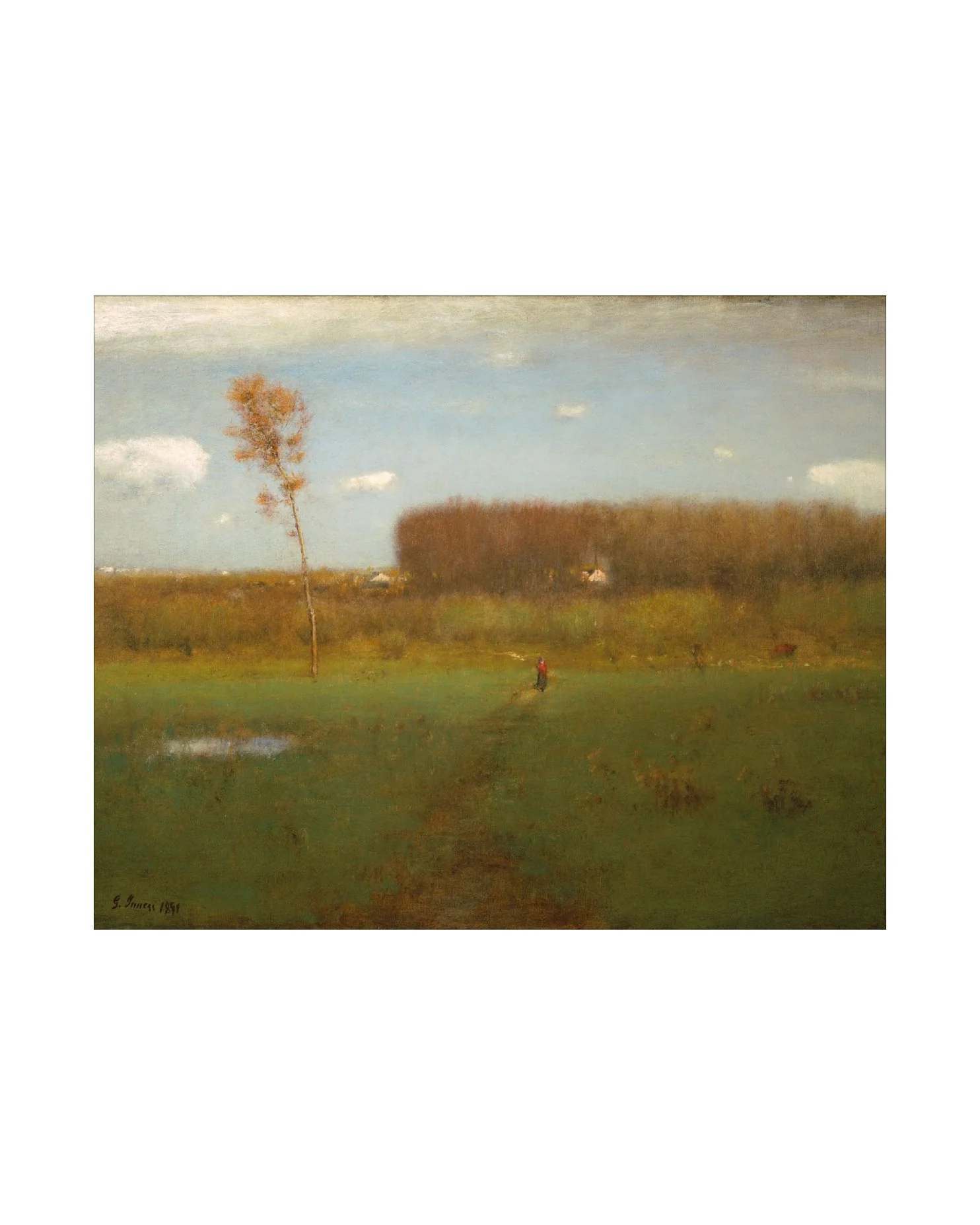 British Fields - Image 3