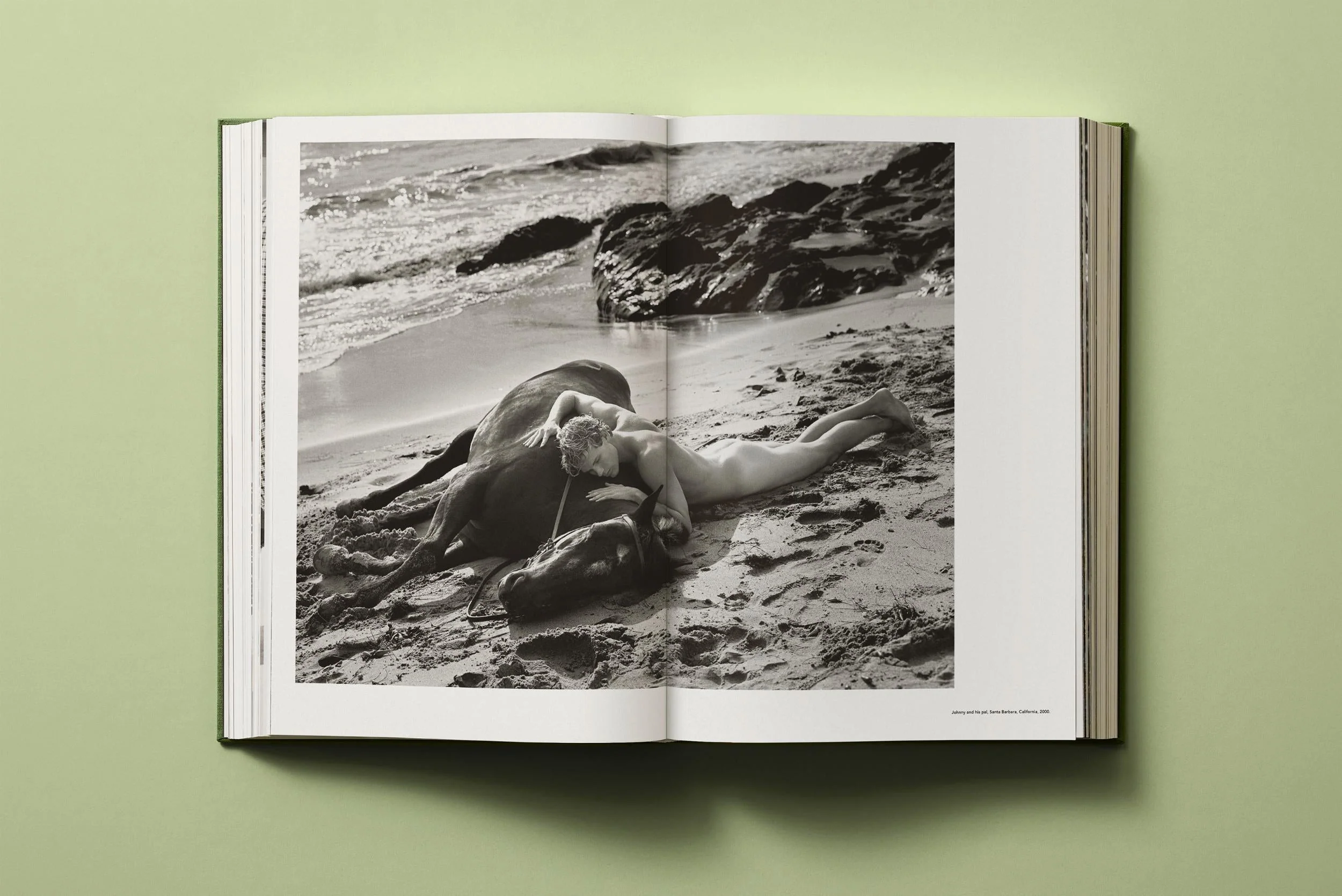 Bruce Weber. My Education (German, French, English) - Image 13