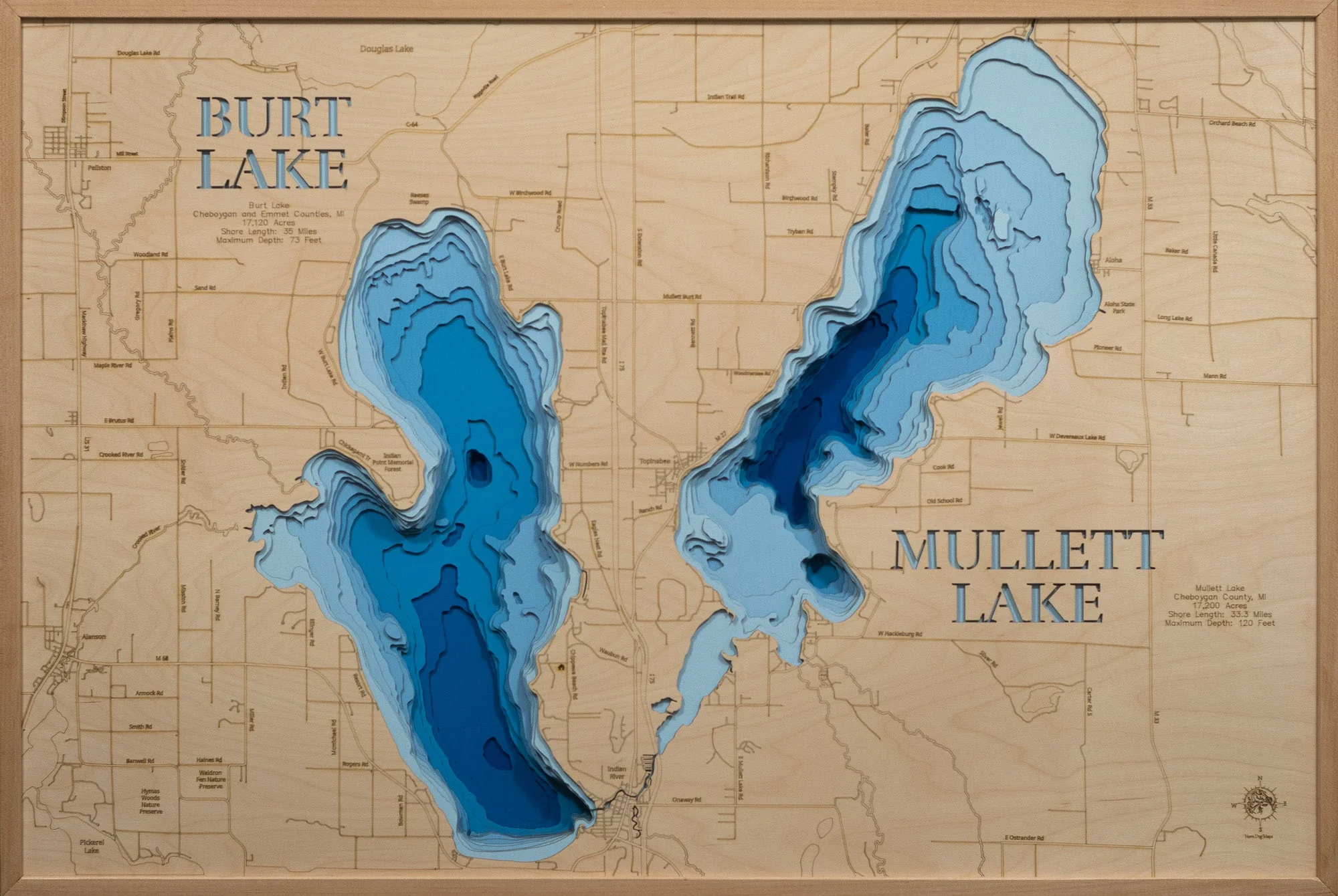 Burt and Mullett (Cheboygan)
