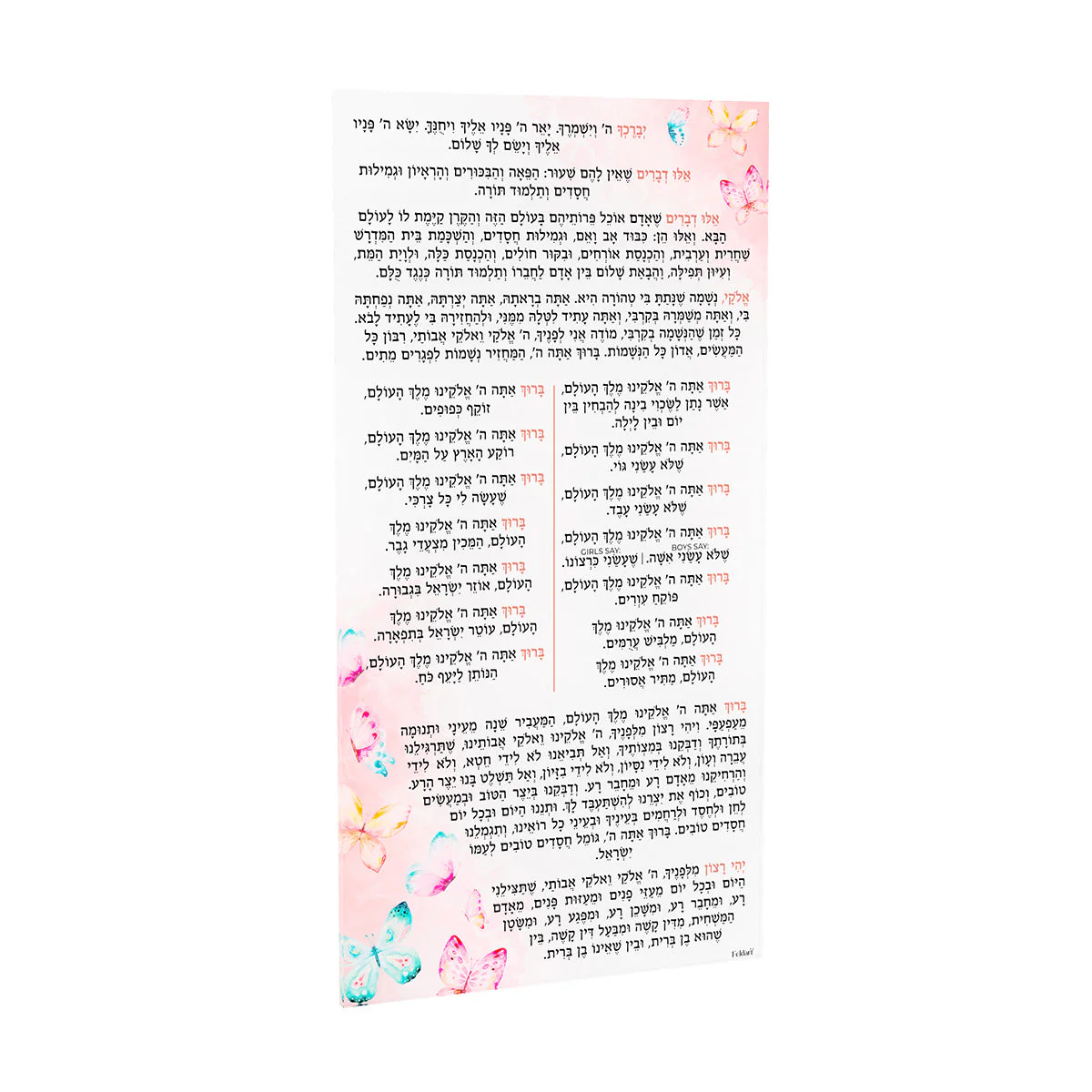 Butterfly Birchas Hashachar - Image 2