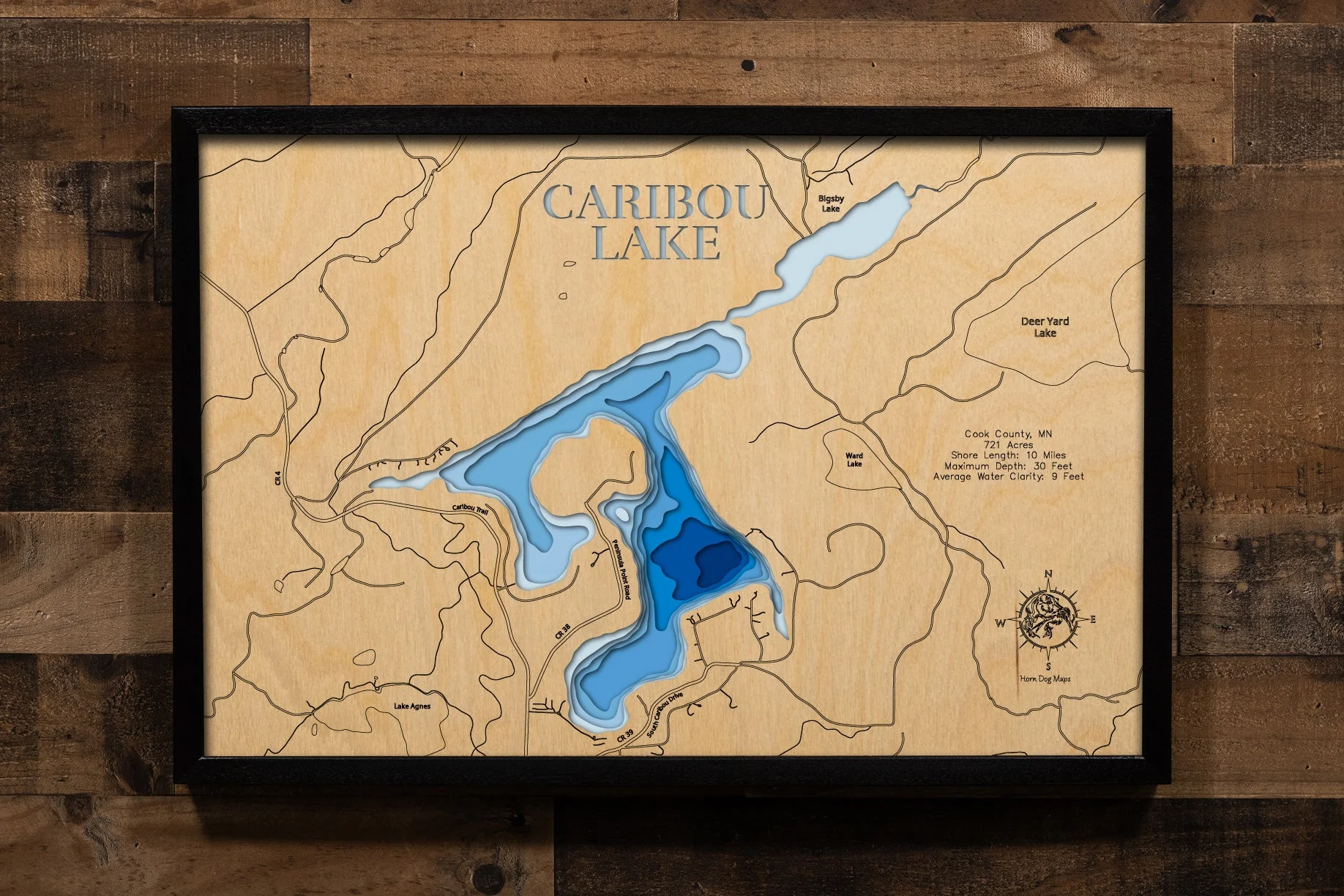 Caribou (Cook)