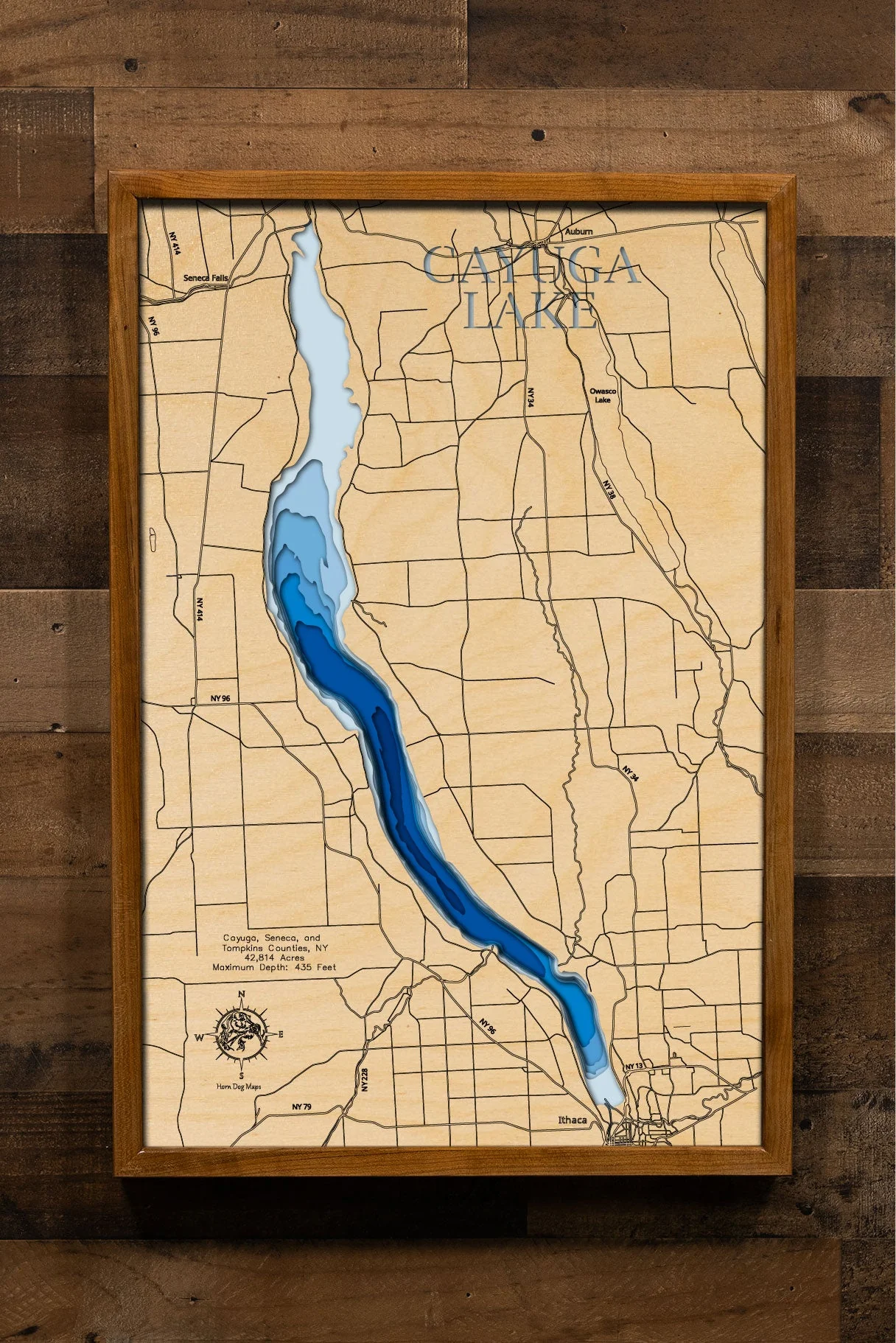 Cayuga (Seneca, Cayuga, Tompkins)