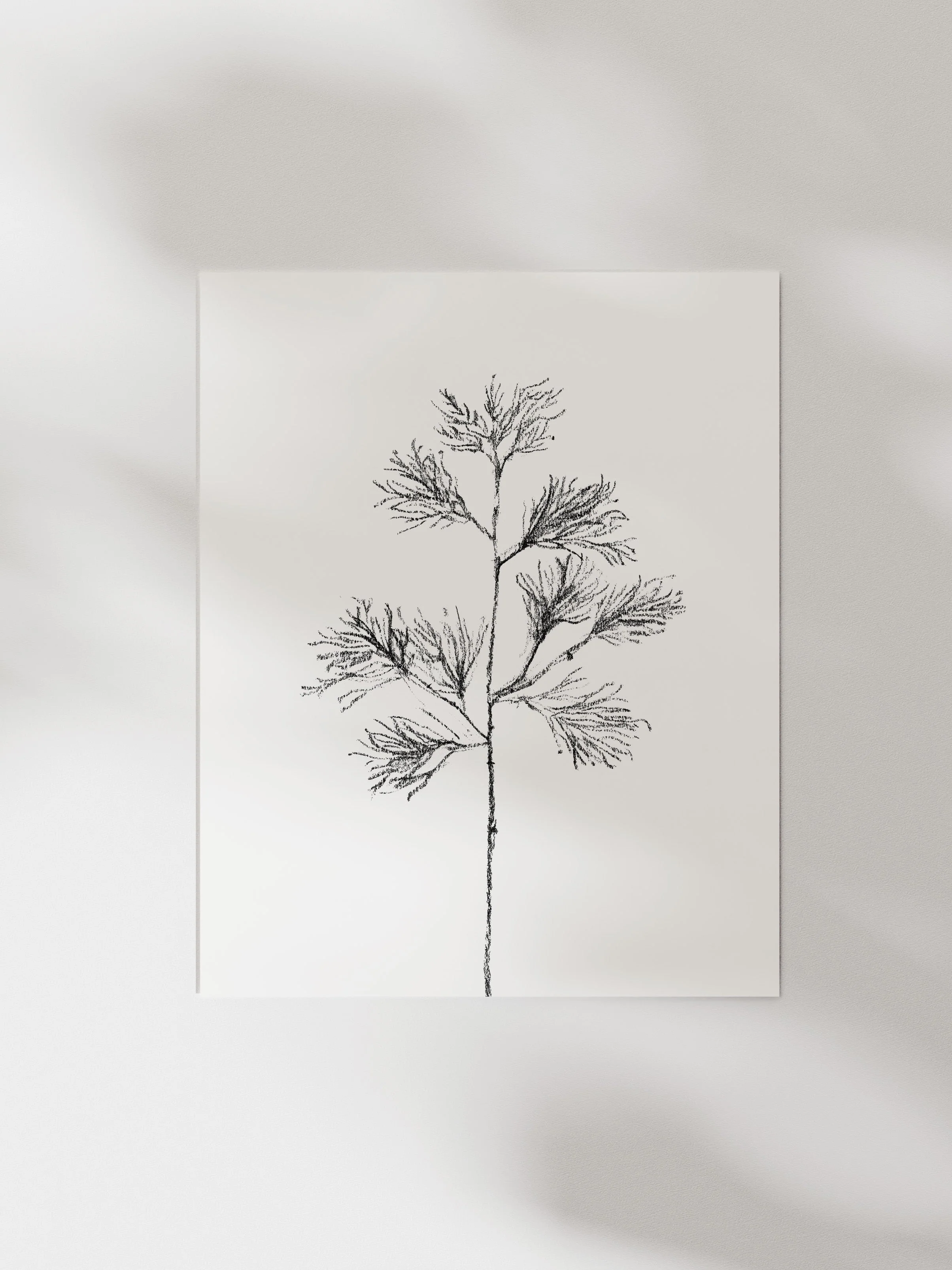 Cedar Stem - Image 12