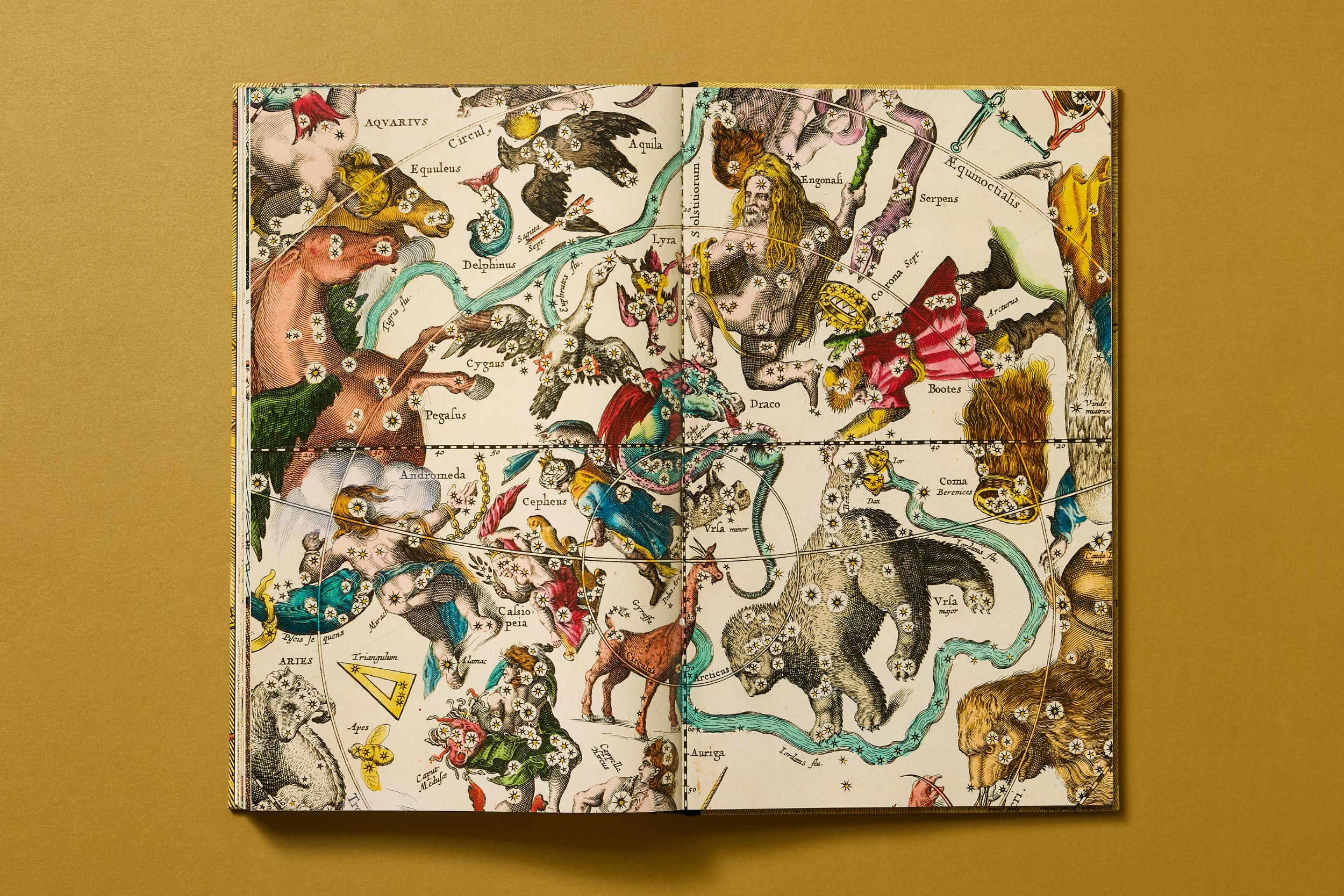 Cellarius Atlas (German, French, English) - Image 25