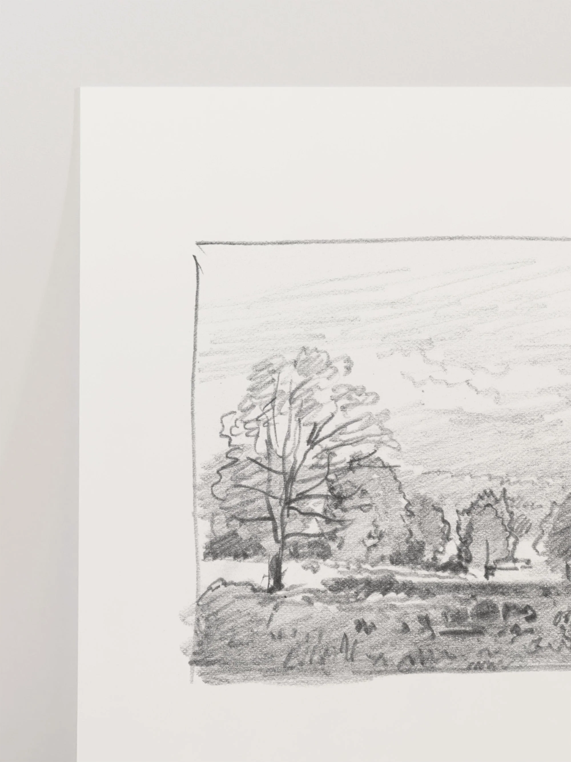 Charcoal Trees 1 - Image 3