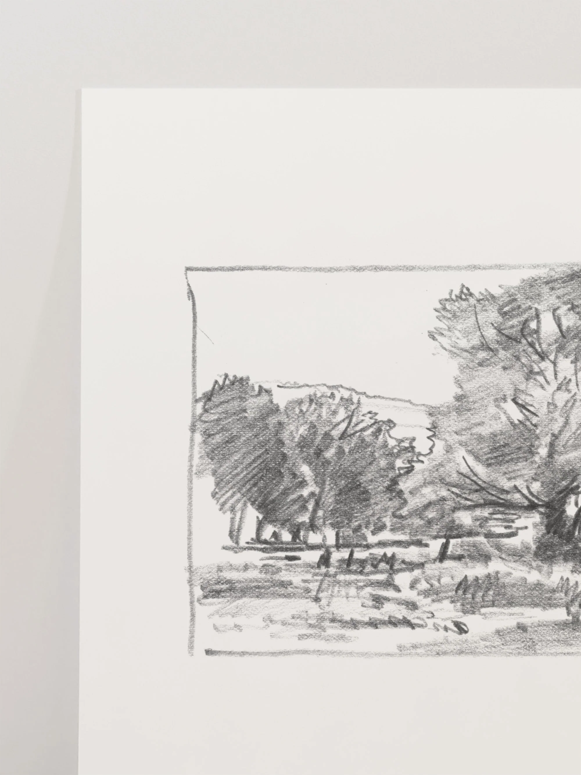 Charcoal Trees 3 - Image 5