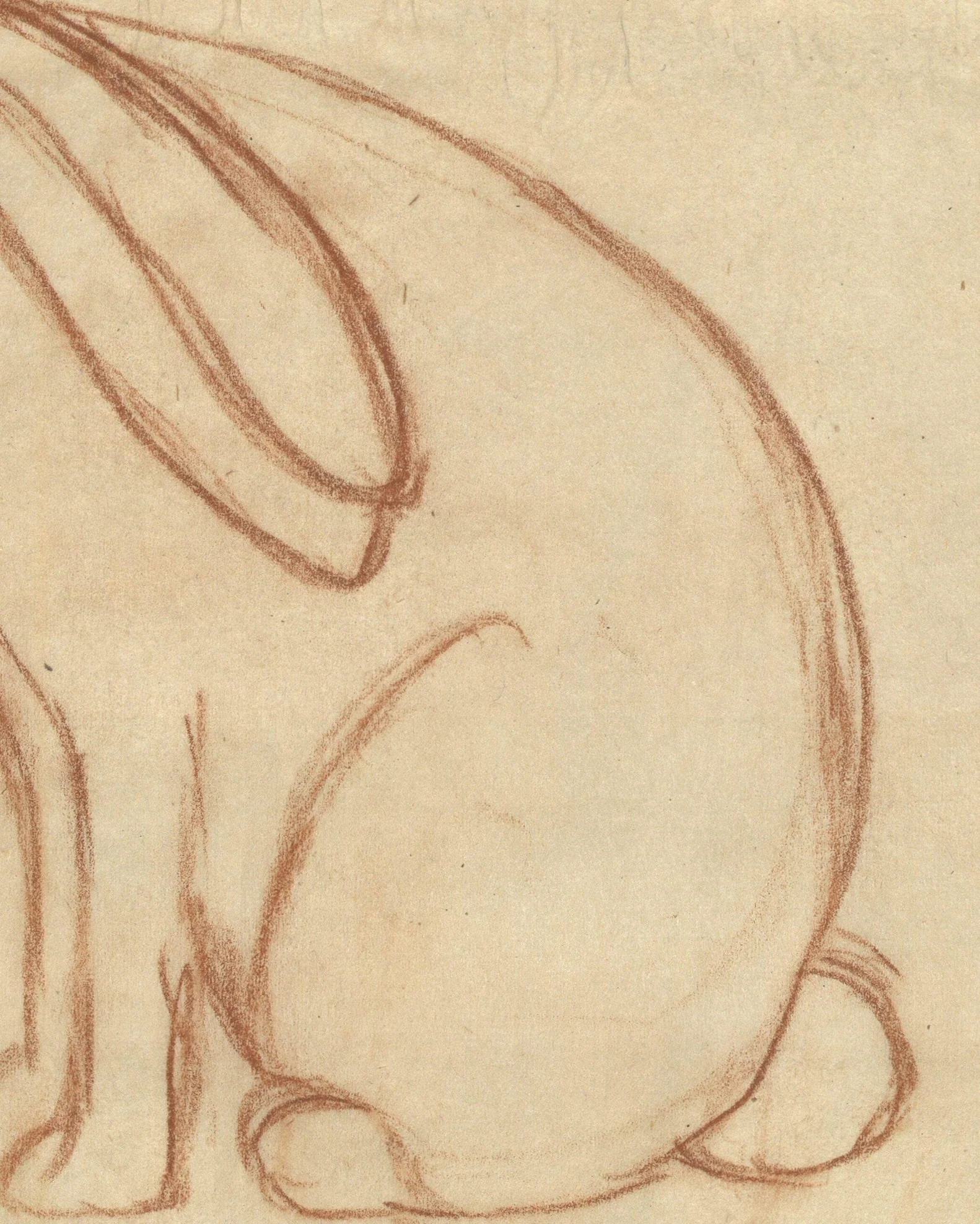 Charming Rabbit - Image 3