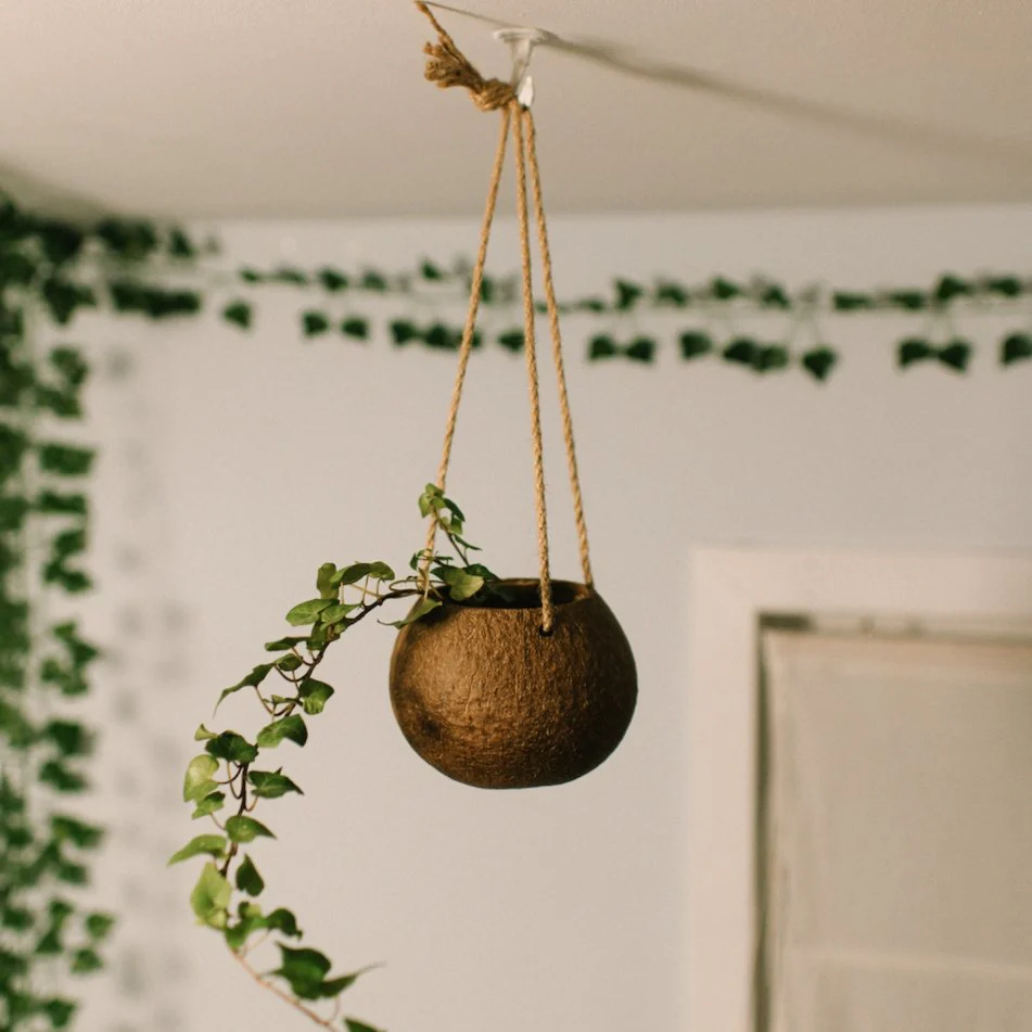 Coconut Planter with Jute Twine - Image 2