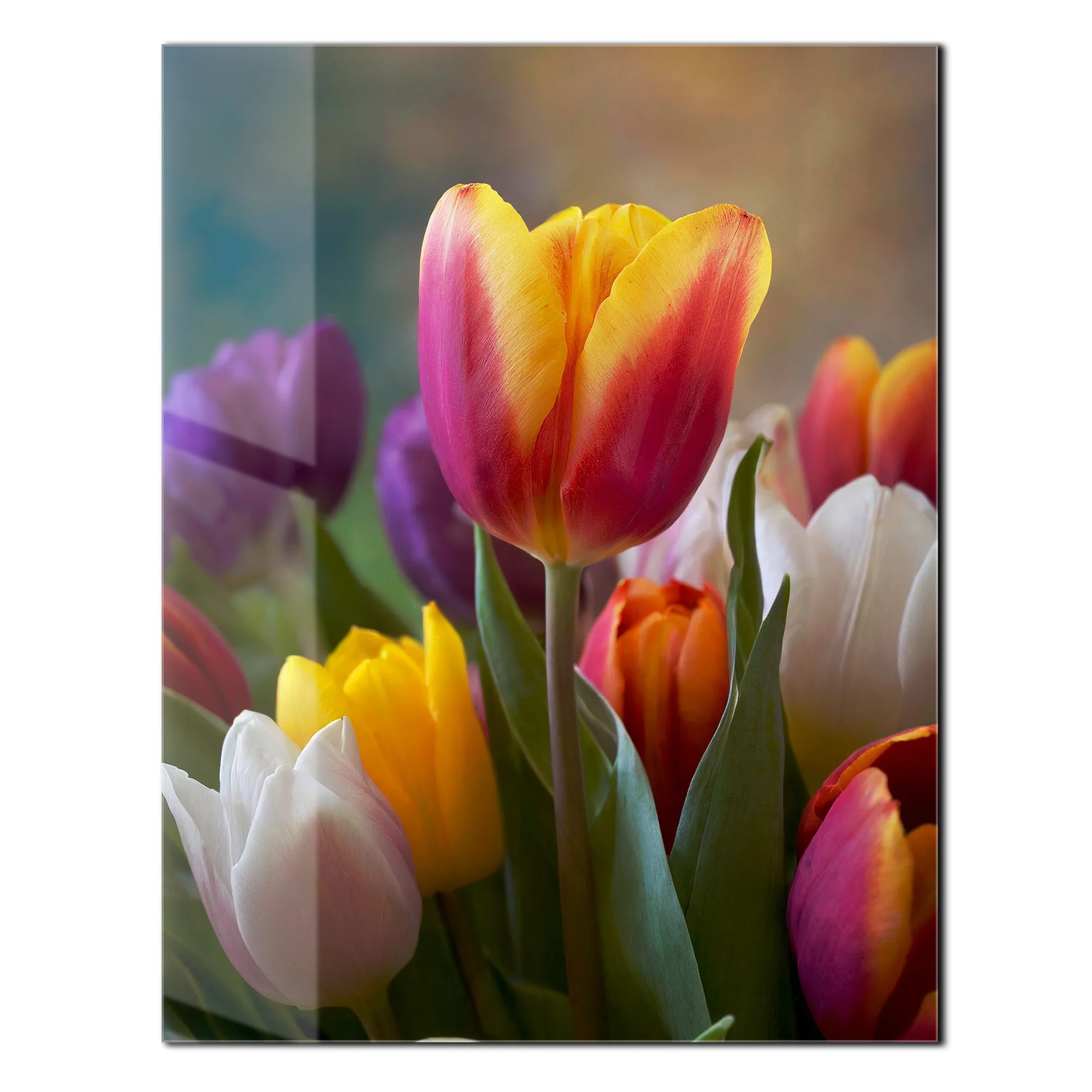 Colorful Tulip Bouquet Glass Wall Art – Vibrant Spring Floral UV Print-KAFCD049 - Image 3