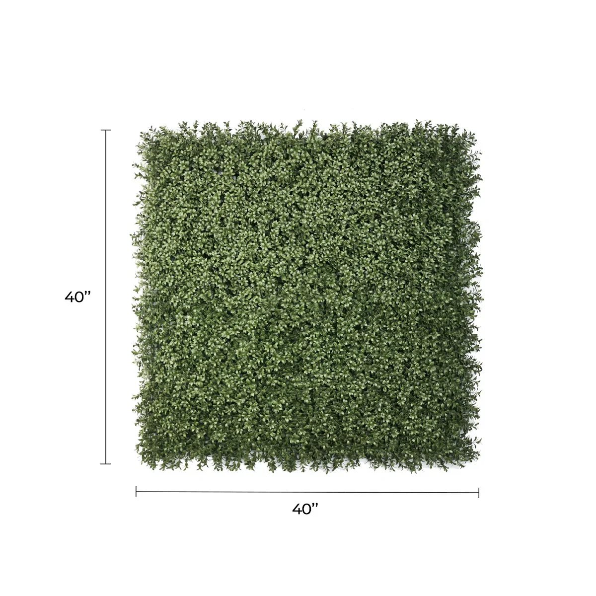 Dark Dark Green Extra Dense Boxwood Foliage 1m x 1m /40″x40″ Vertical Garden Wall UV+ FR - Image 2
