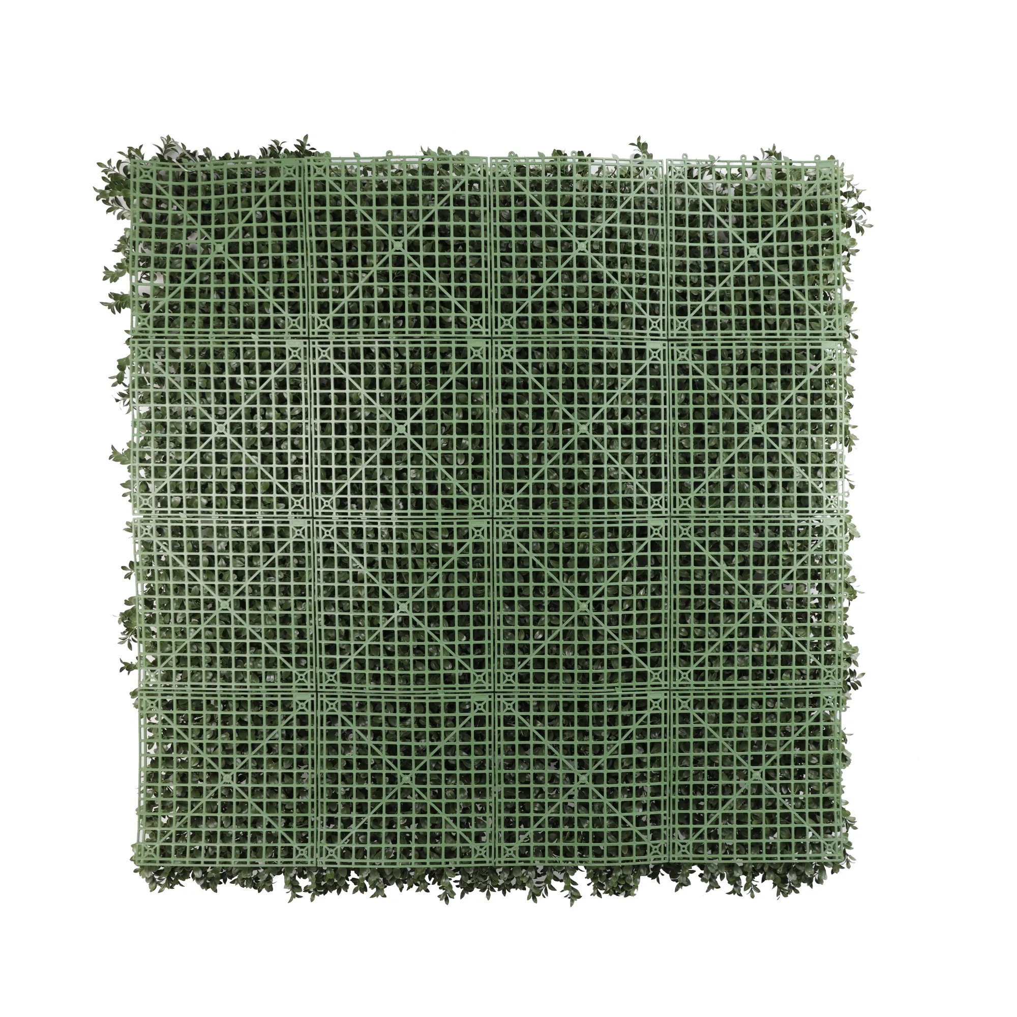 Dark Dark Green Extra Dense Boxwood Foliage 1m x 1m /40″x40″ Vertical Garden Wall UV+ FR - Image 6