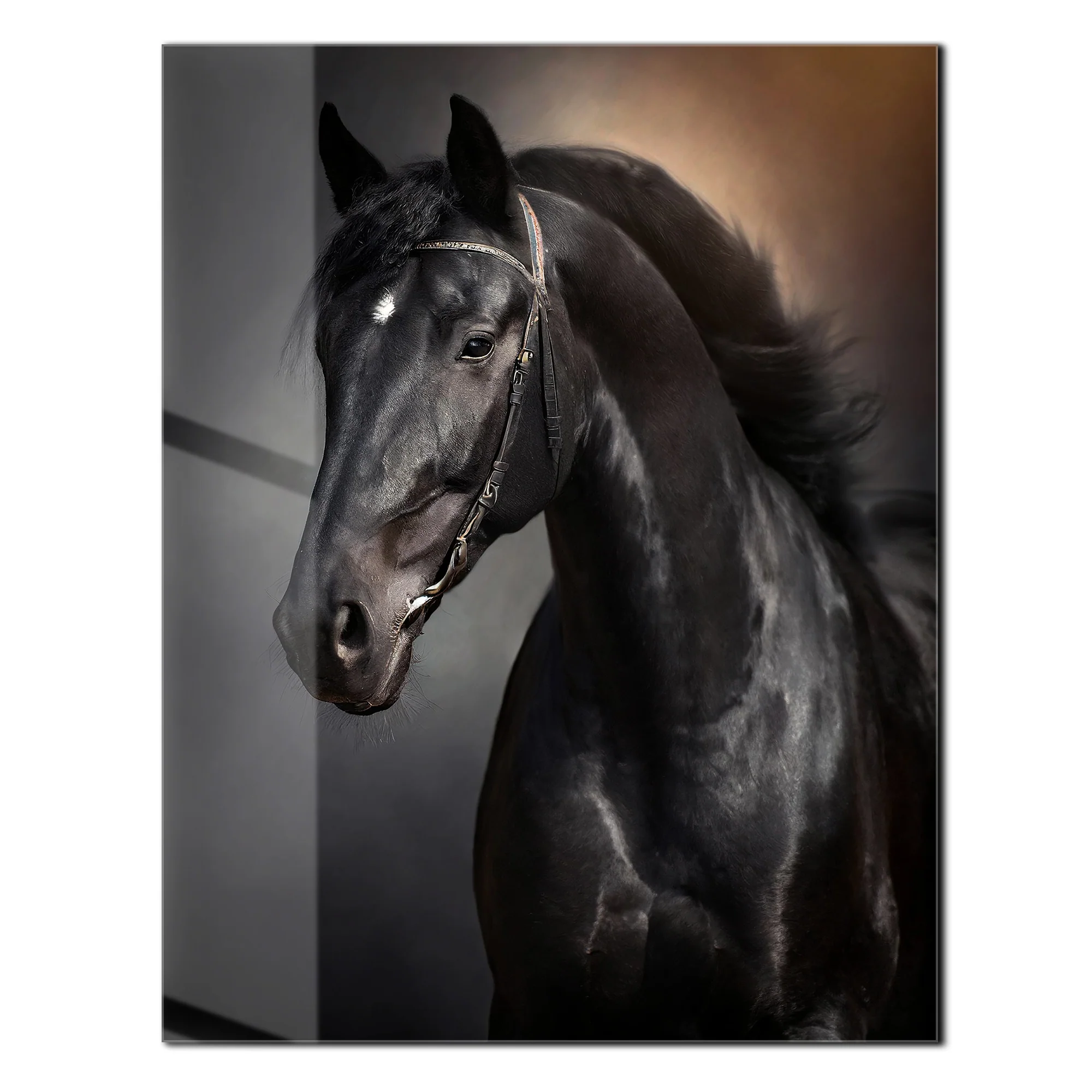 Elegant Black Horse Portrait UV Glass Wall Art โ Majestic Equestrian Design-KAFCD065 - Image 3